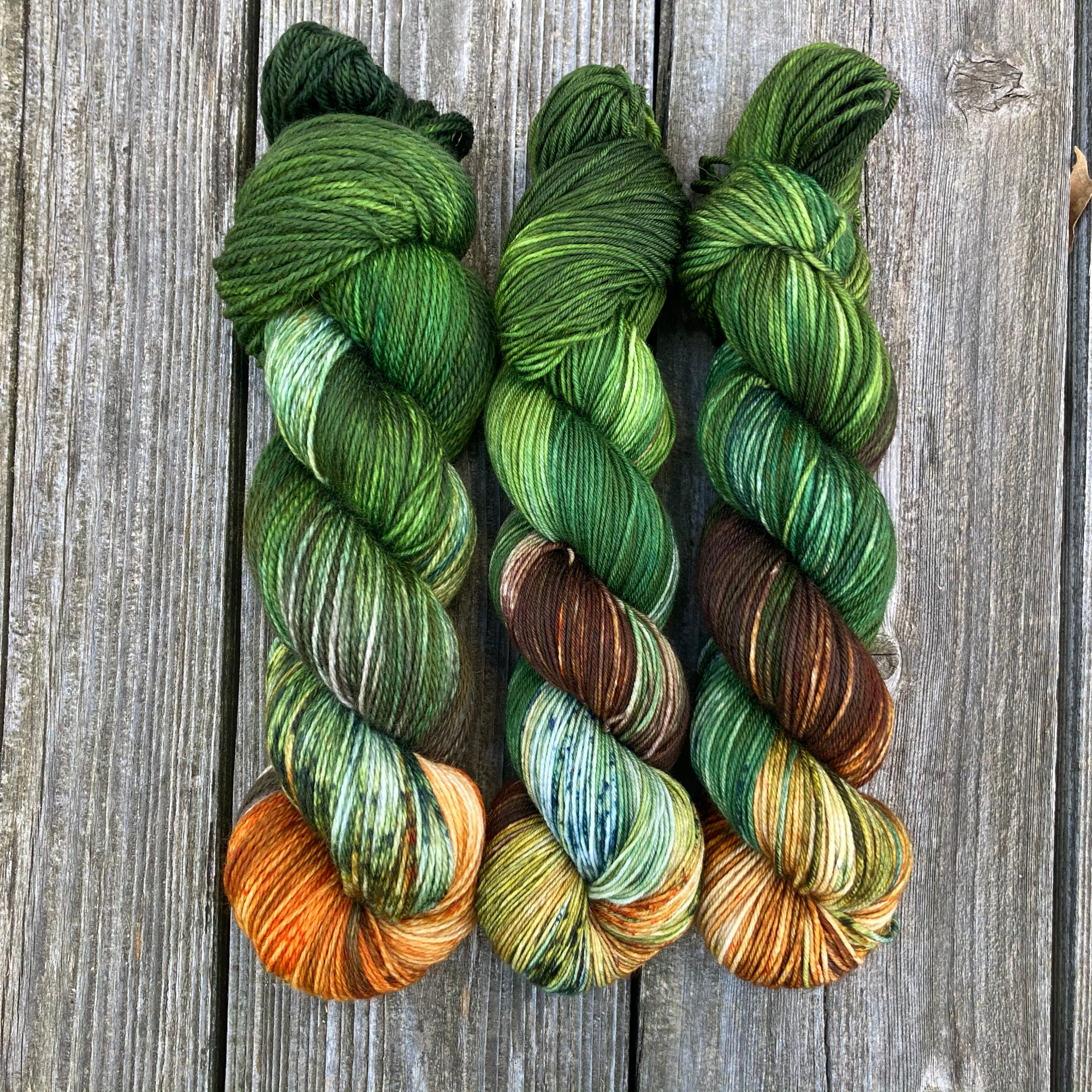 rhinebeck2020 updateIMG_7963.png