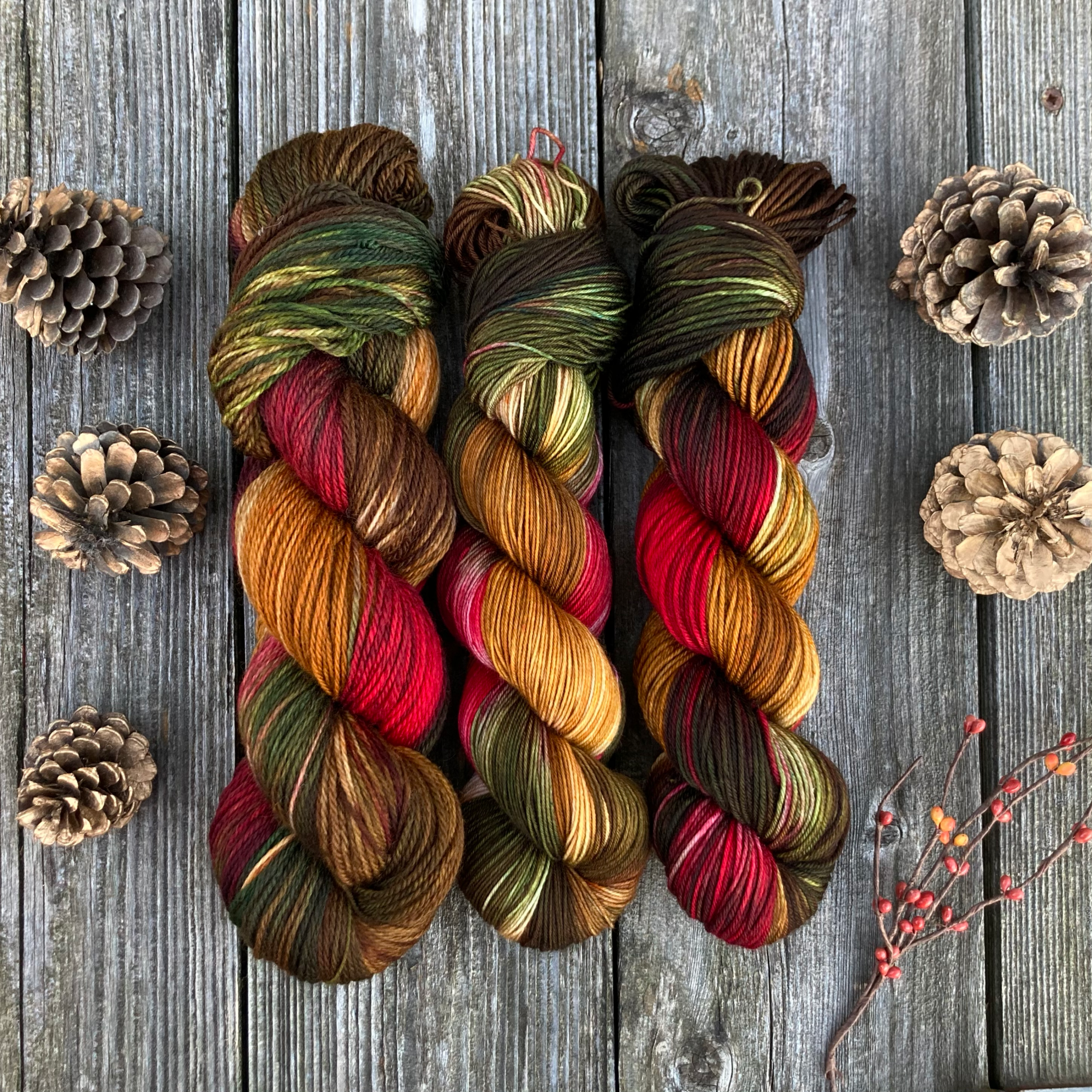 Christmas holiday YarnIMG_9278.png