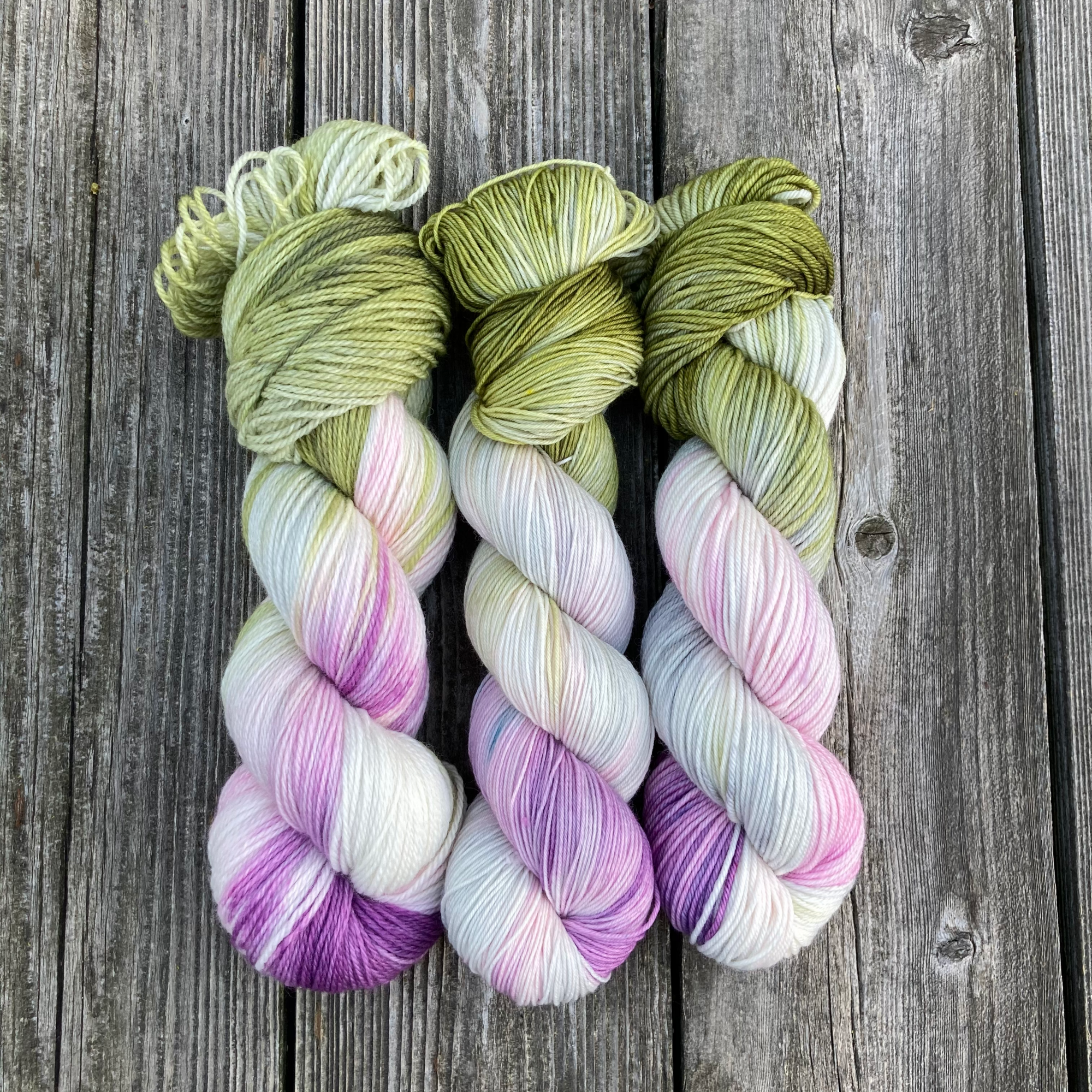 MDSW 2021 UpdateIMG_4410.png