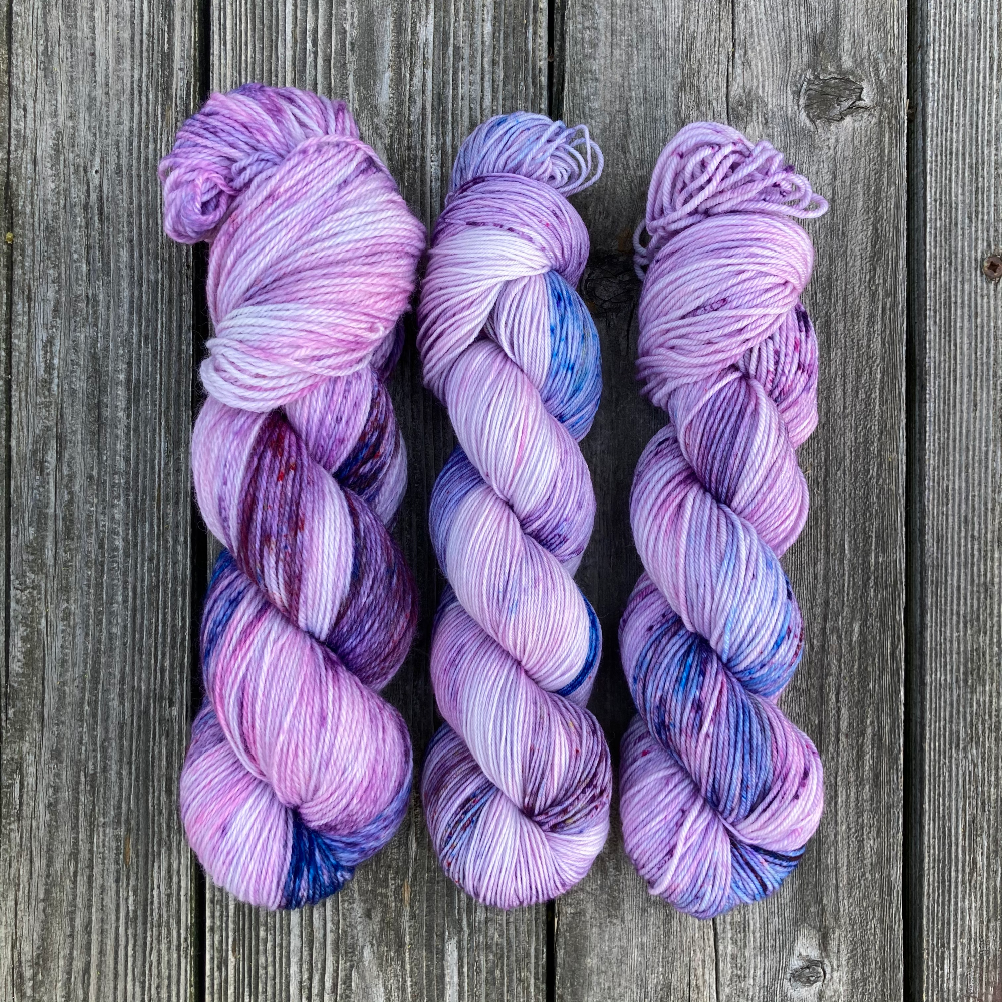 MDSW 2021 UpdateIMG_4425.png