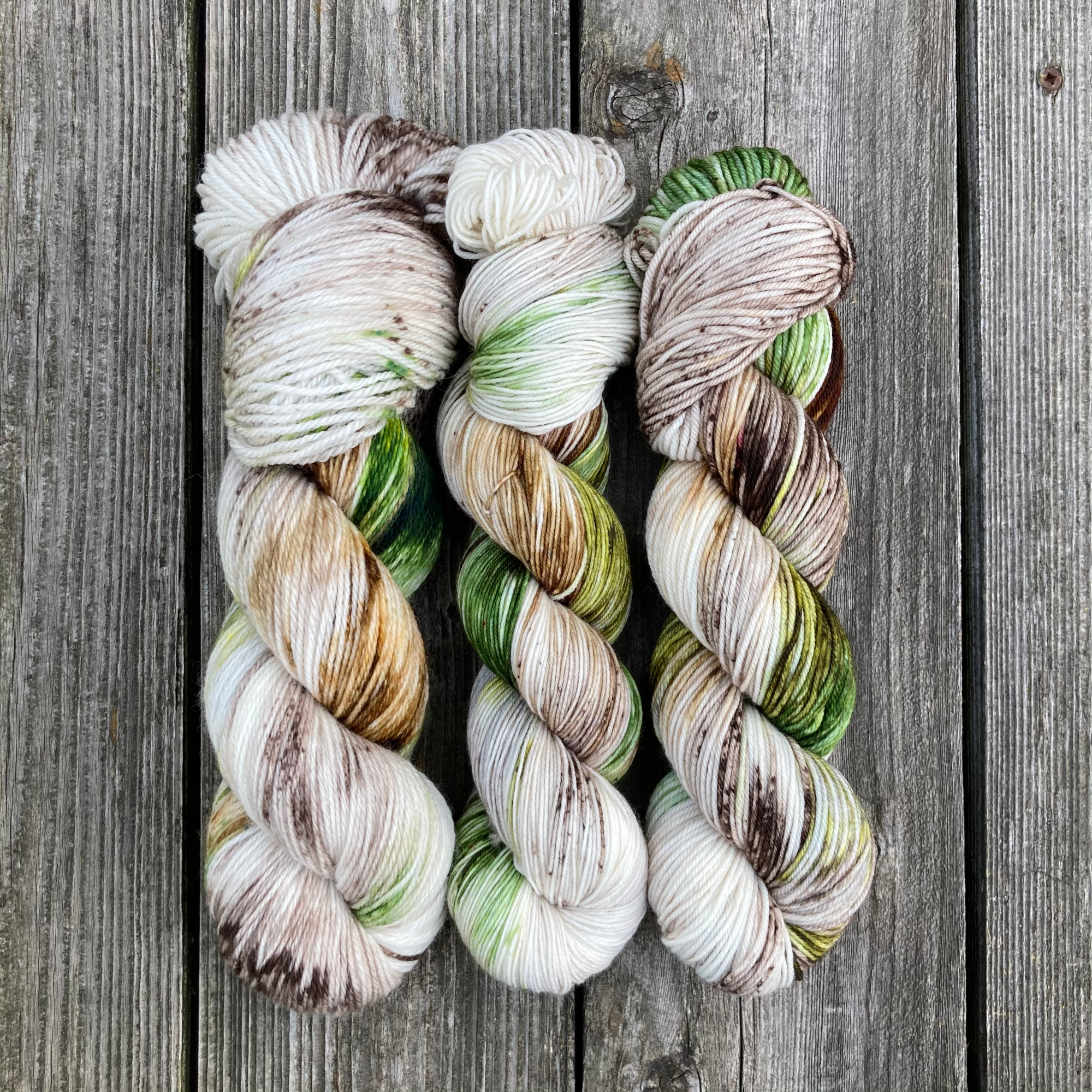 MDSW 2021 UpdateIMG_4463.png