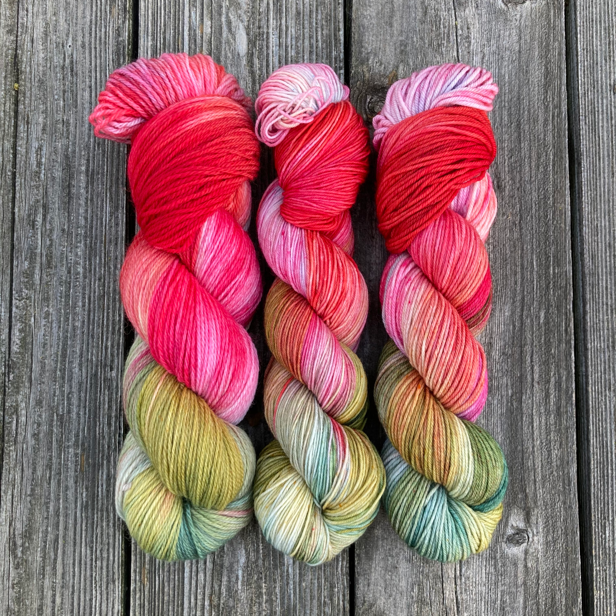 MDSW 2021 UpdateIMG_4415.png