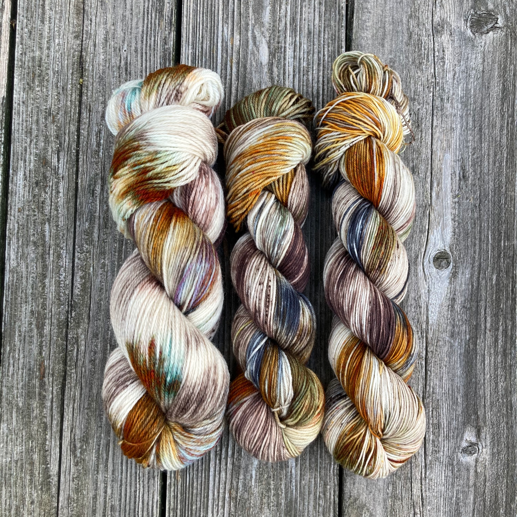 MDSW 2021 UpdateIMG_4439.png