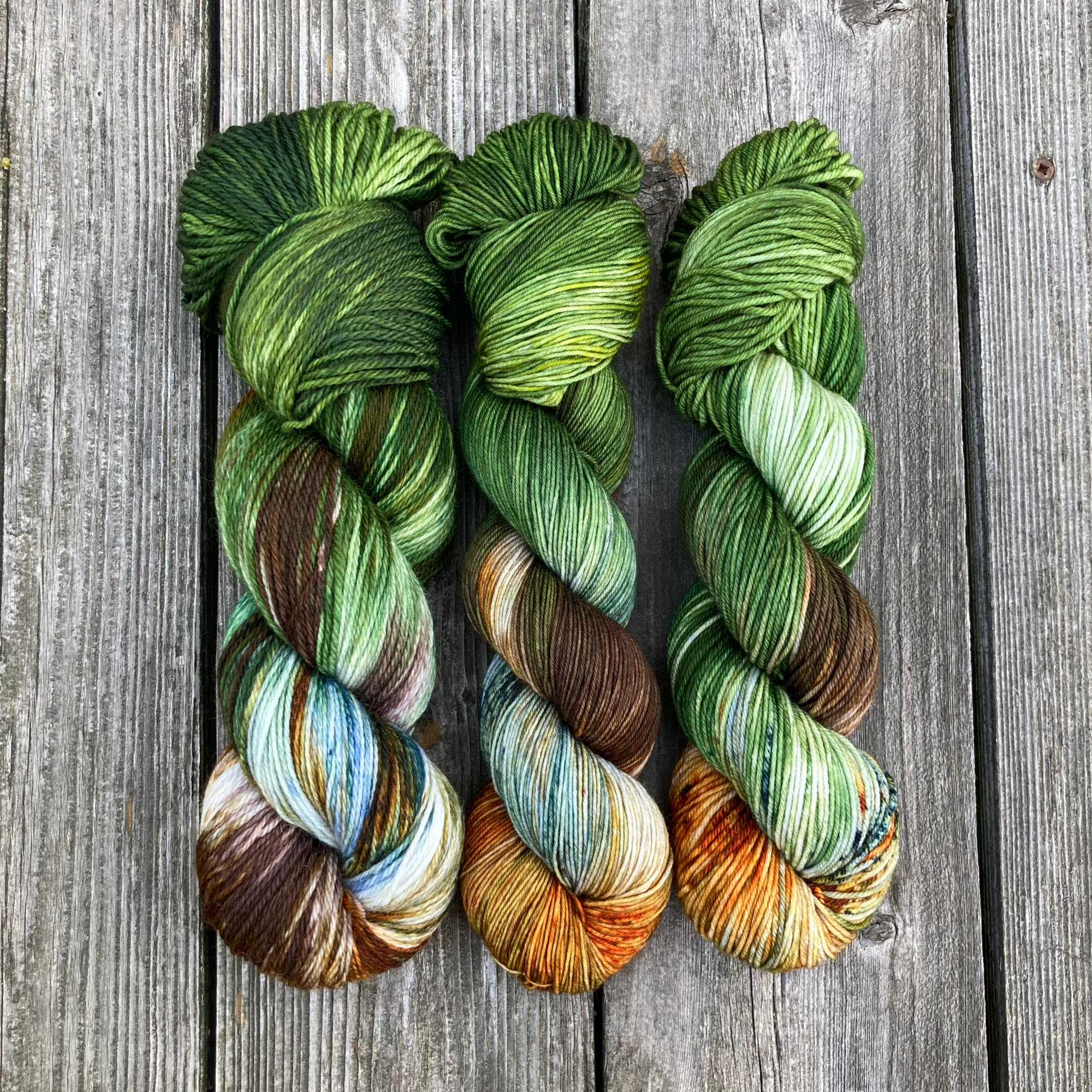 MDSW 2021 UpdateIMG_4466.png