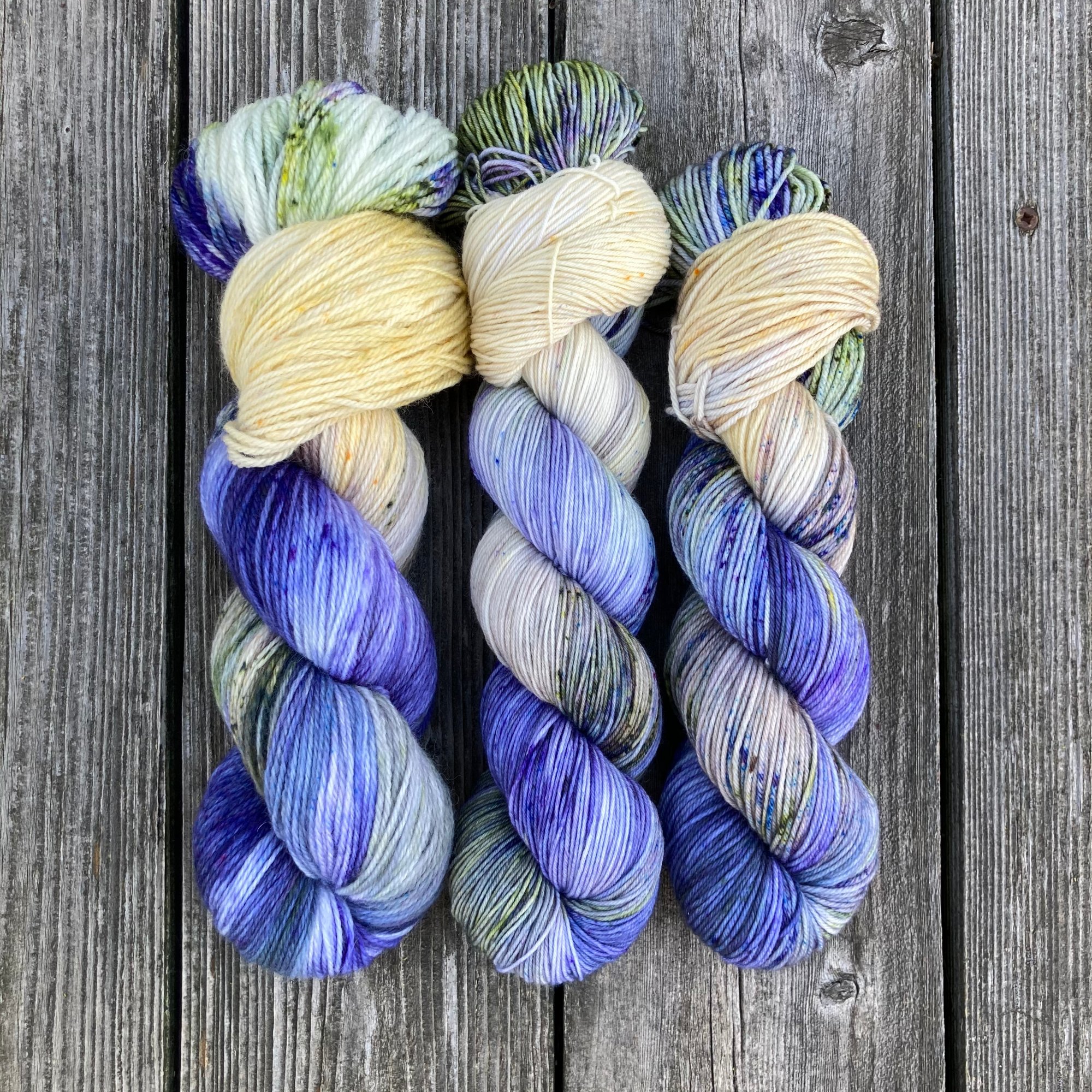 MDSW 2021 UpdateIMG_4430.png