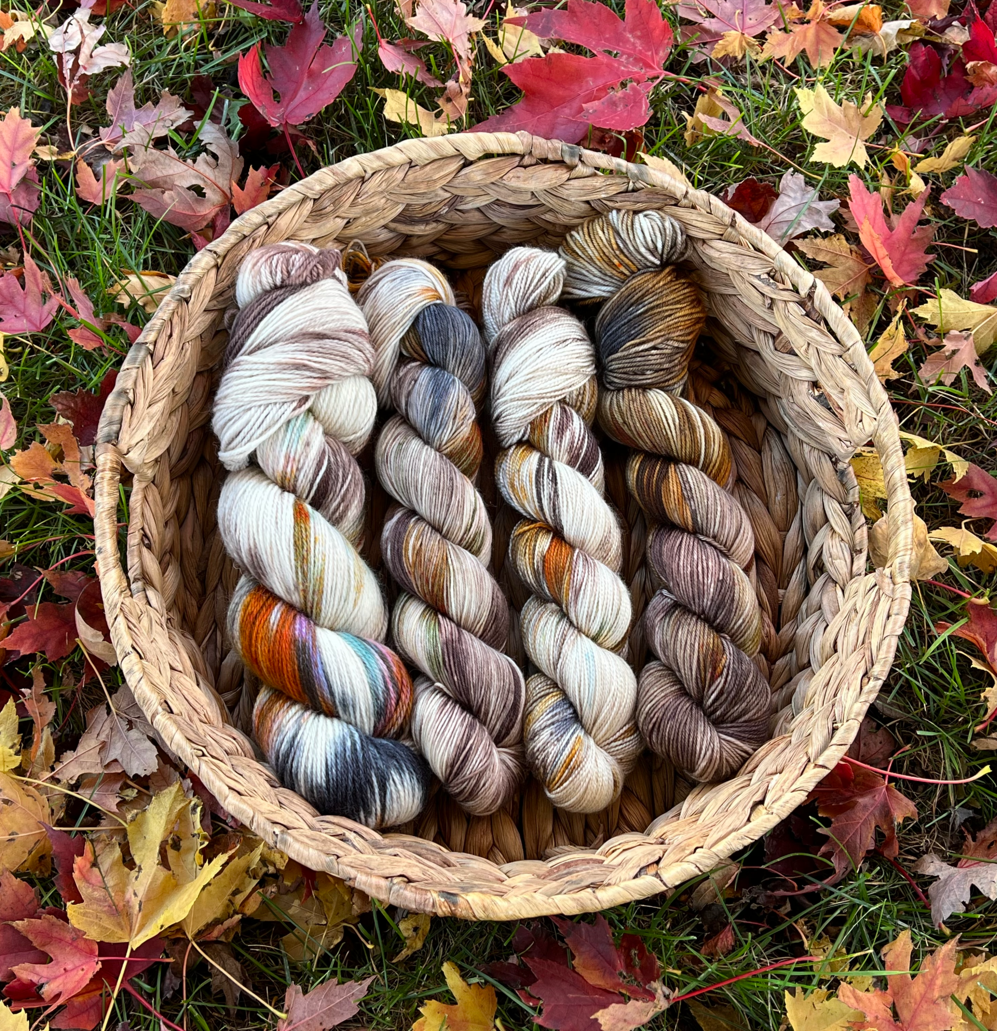 FINAL Fall Festival 2021 updatefall festival 2021 update IMG_1246.png