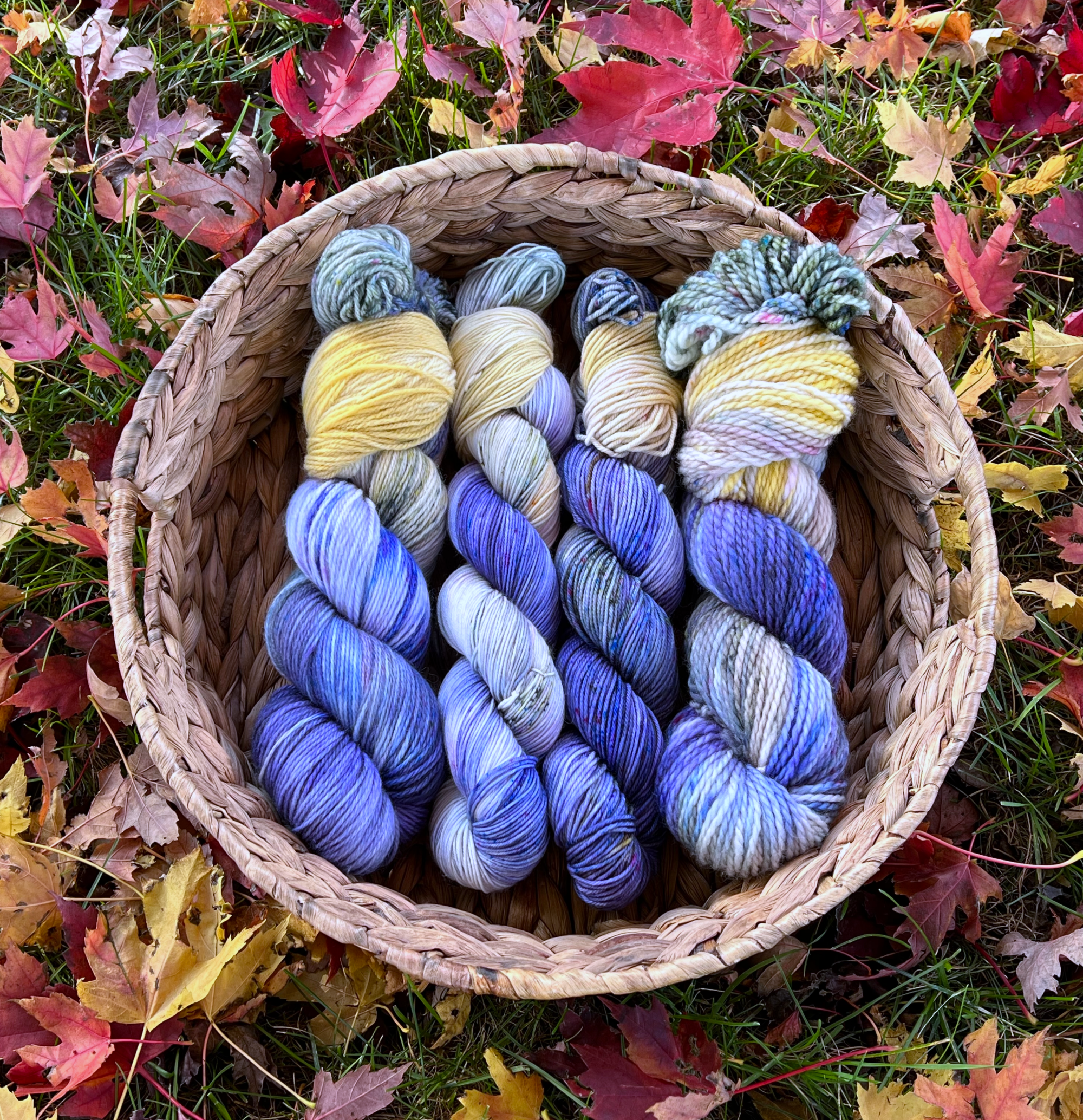 FINAL Fall Festival 2021 updatefall festival 2021 update IMG_1235.png