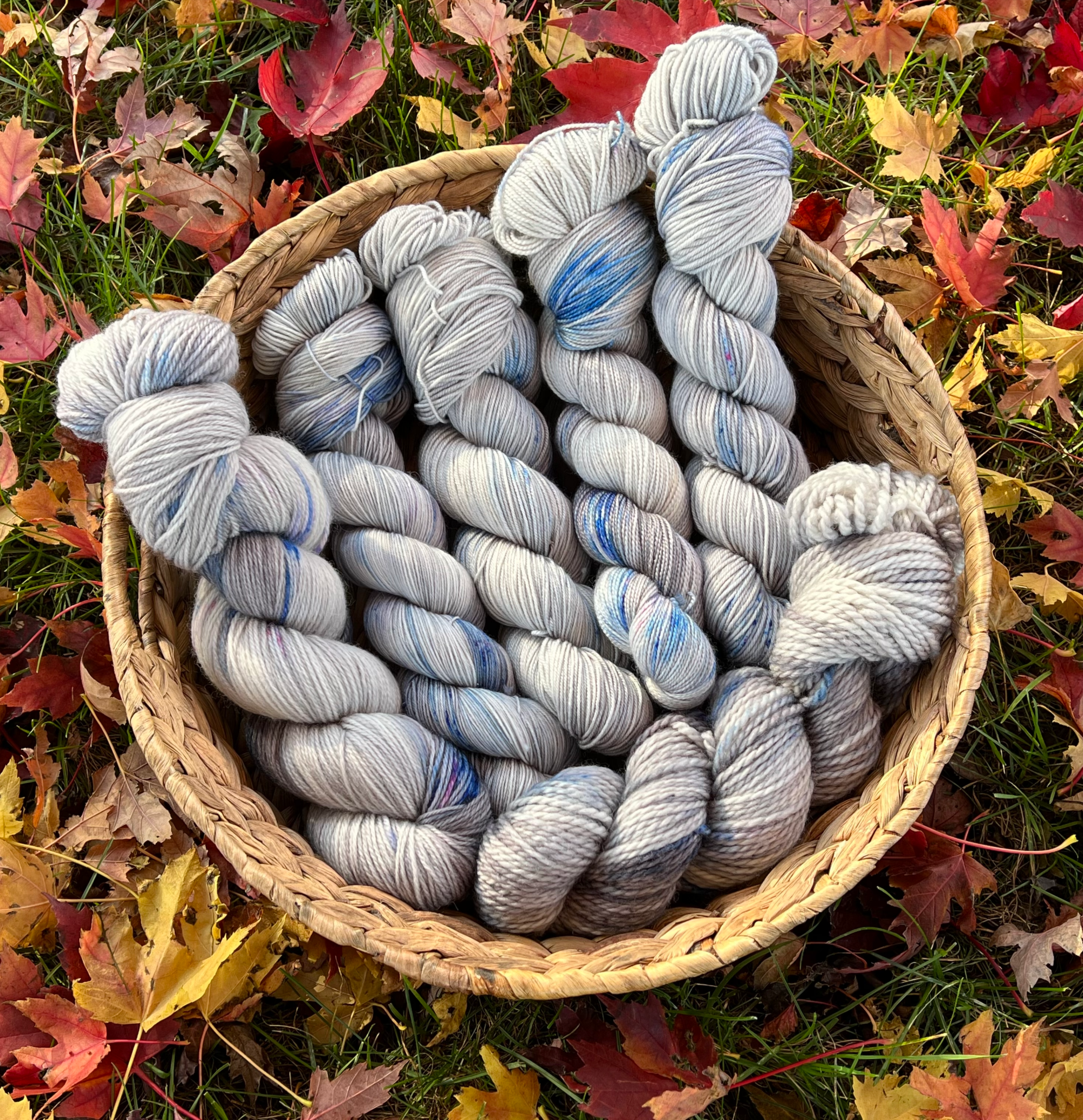 FINAL Fall Festival 2021 updatefall festival 2021 update IMG_1241.png