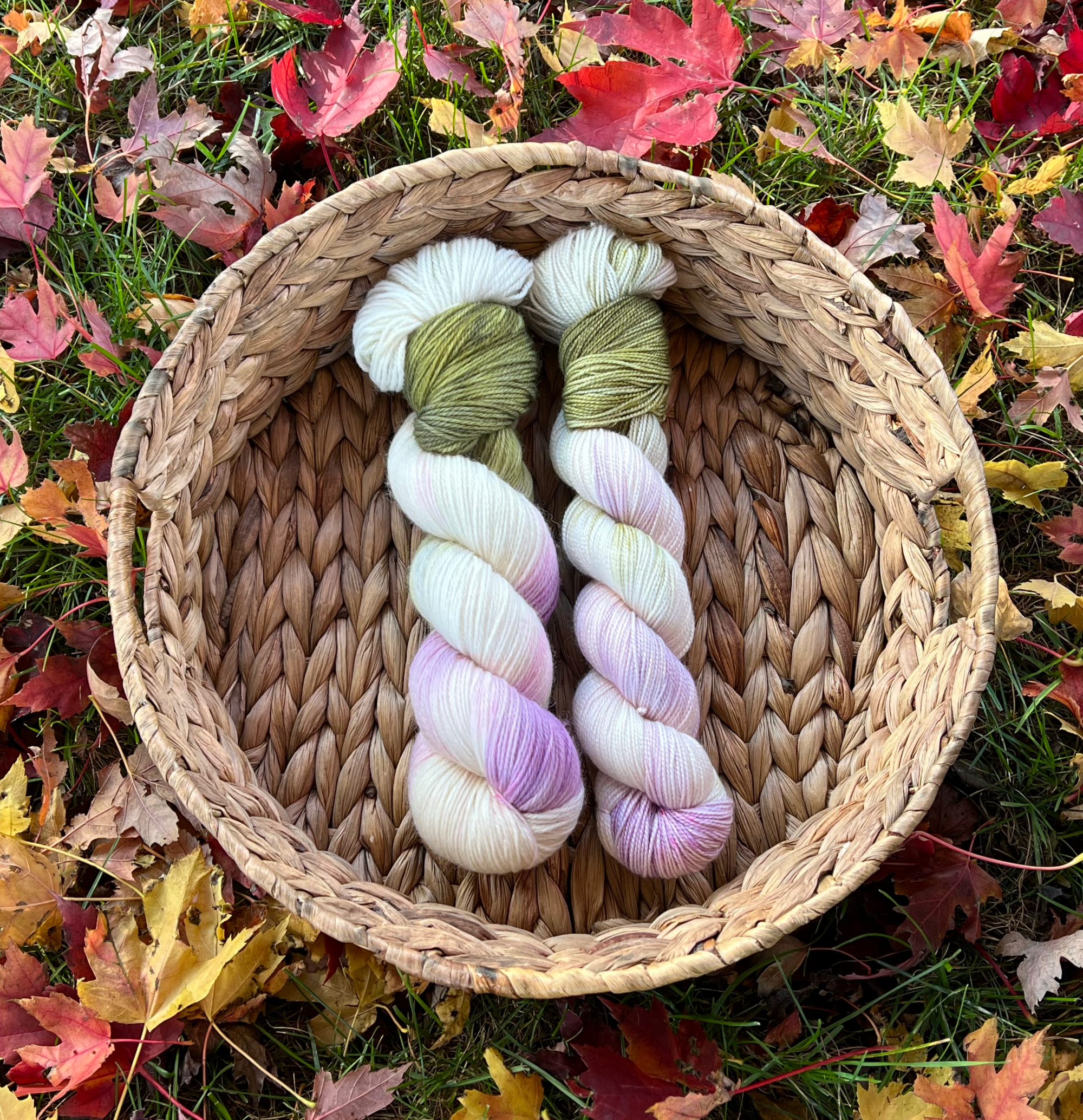 FINAL Fall Festival 2021 updatefall festival 2021 update IMG_1232.png