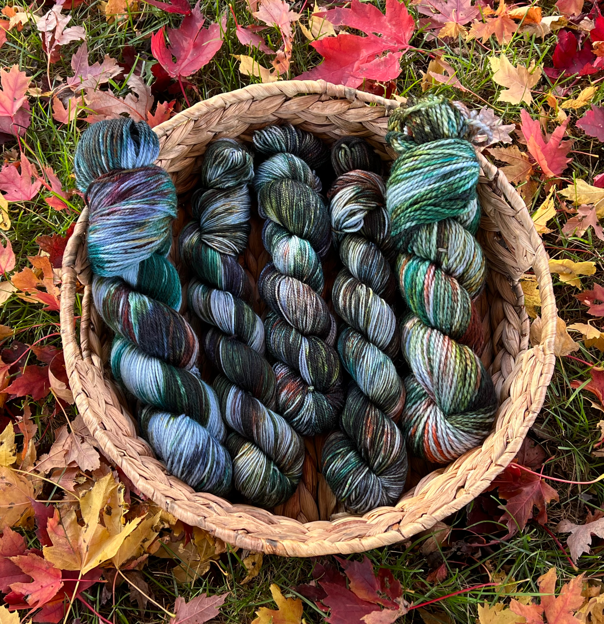 FINAL Fall Festival 2021 updatefall festival 2021 update IMG_1240.png