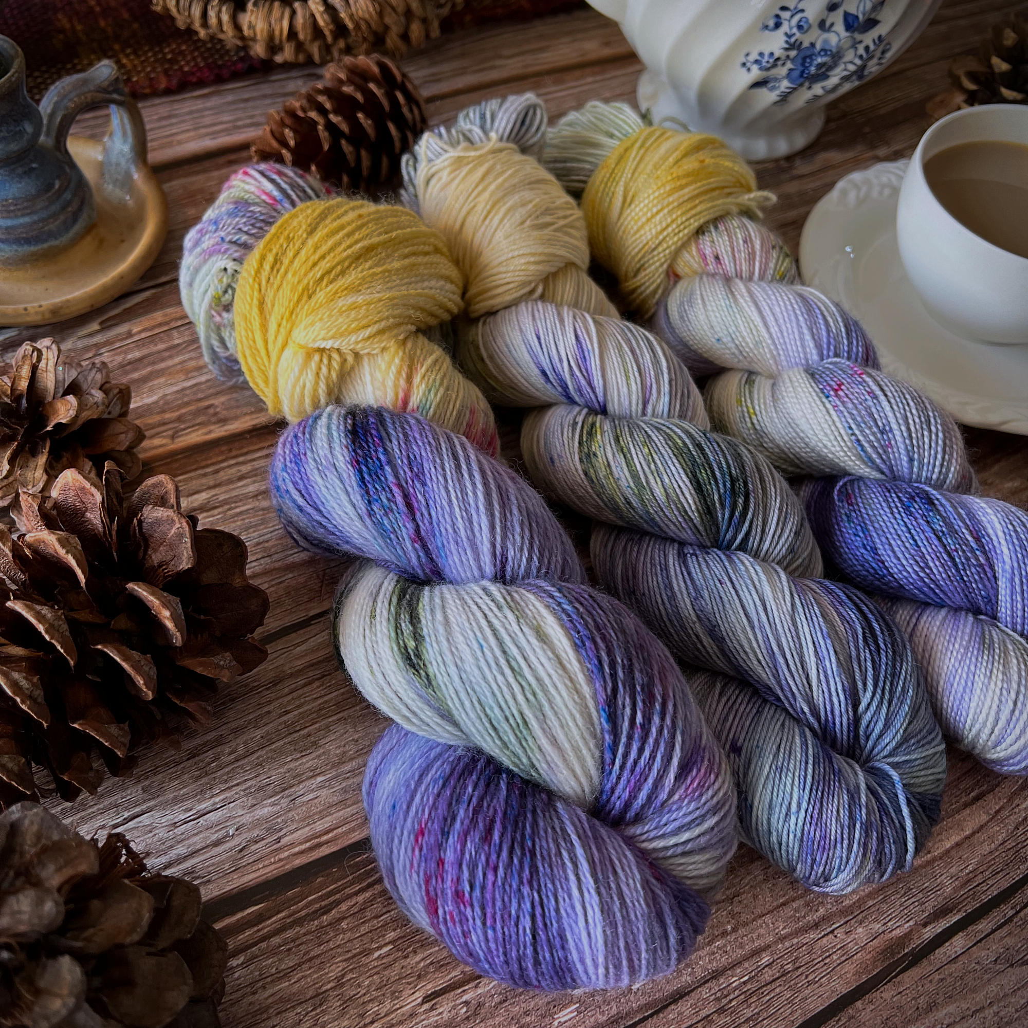 outlander 1-28-2022 updateIMG_4674.png