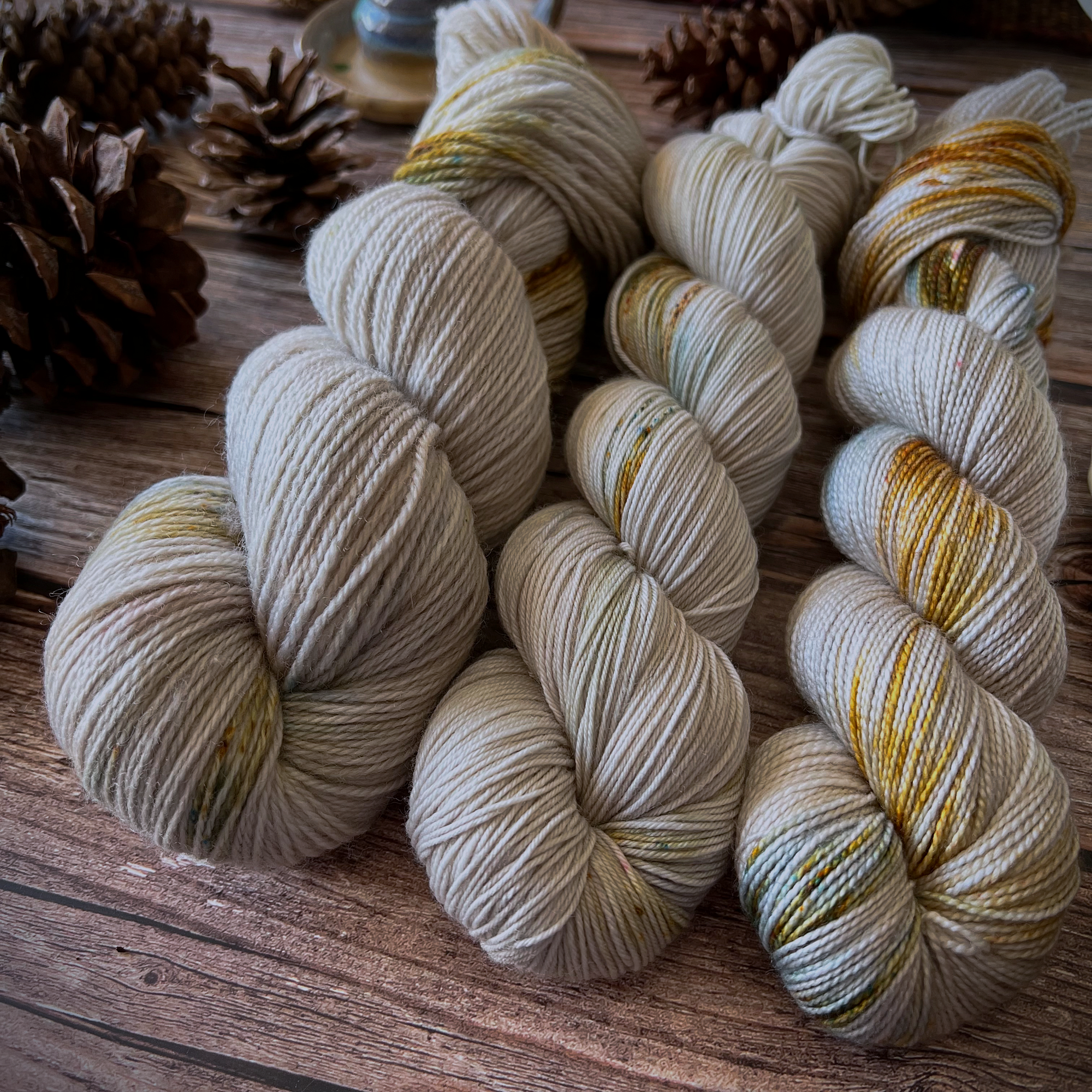 outlander 1-28-2022 updateIMG_4589.png