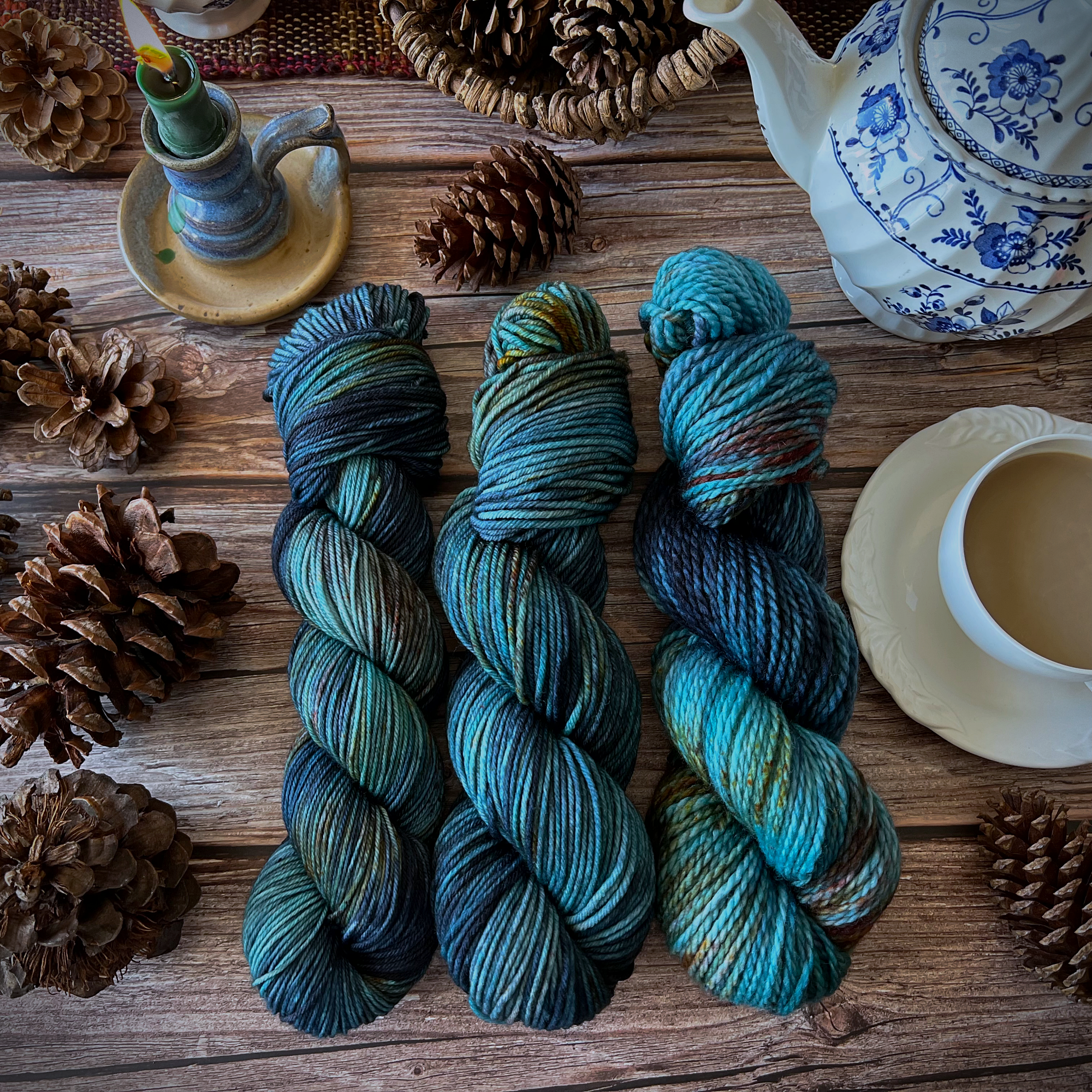 outlander 1-28-2022 updateIMG_4524.png