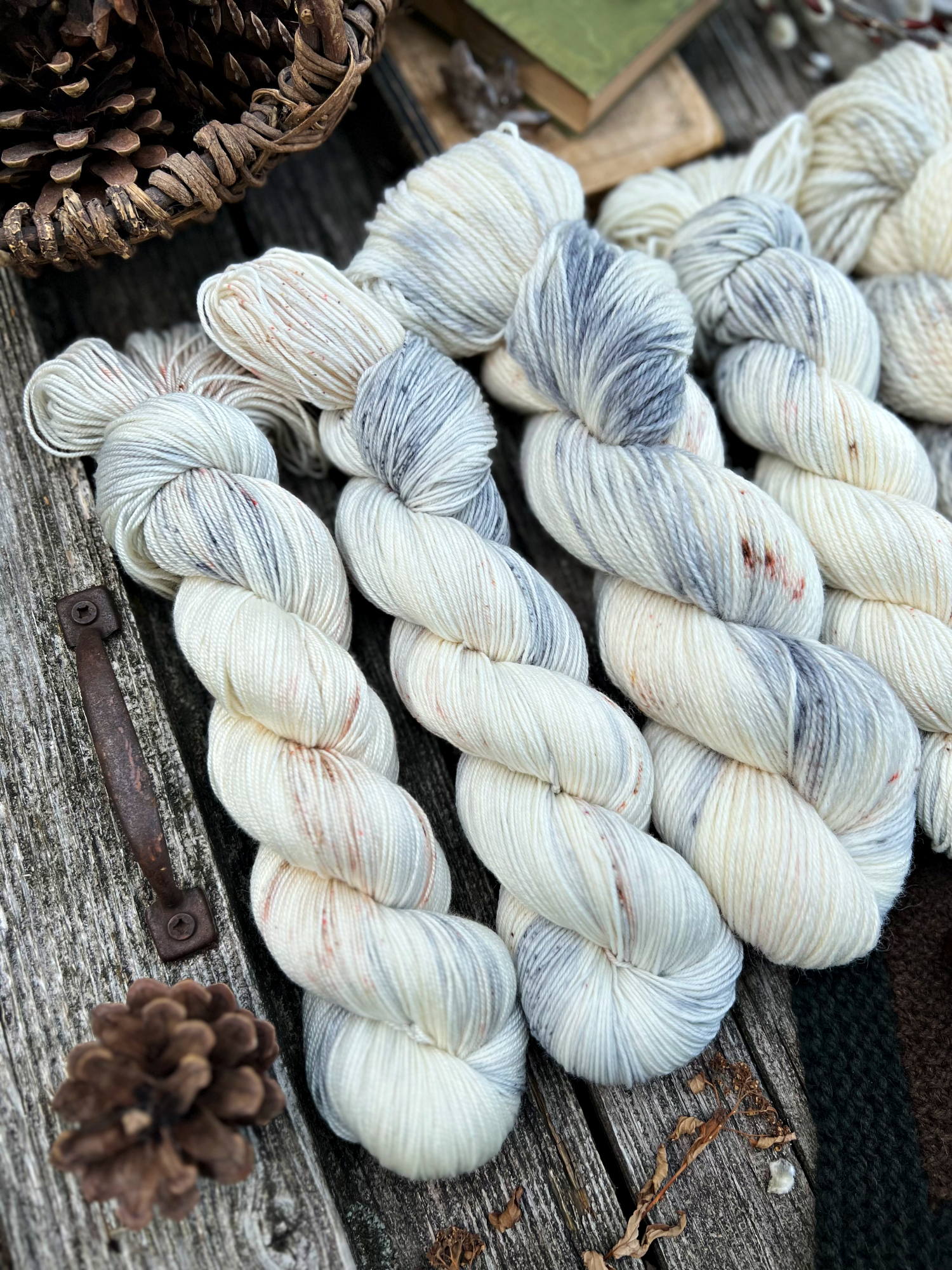 Outlander 2023 updateIMG_5578 2.png