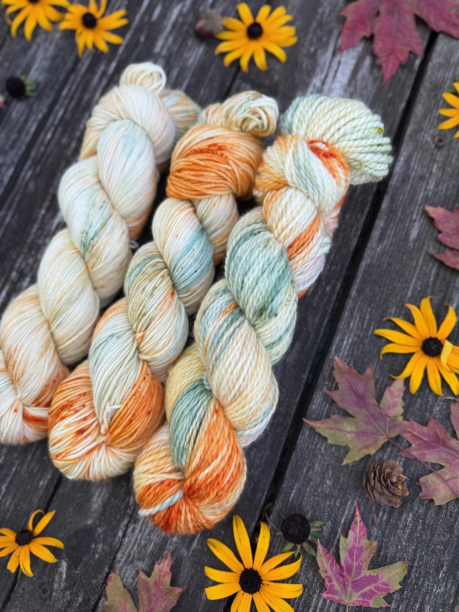 autumn halloween yarn scooby-doo knit pattern knitting229.jpg