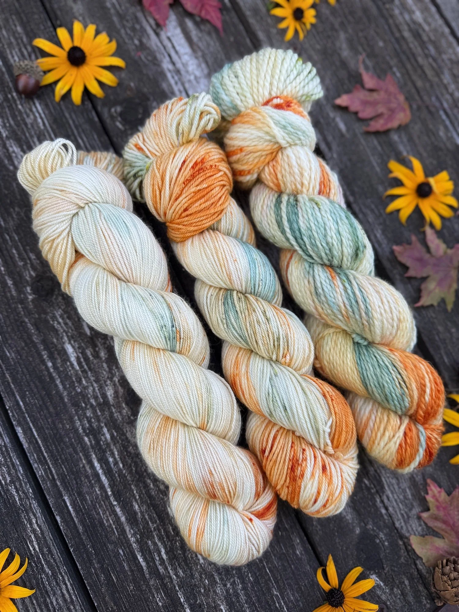 autumn halloween yarn scooby-doo knit pattern knitting230.jpg