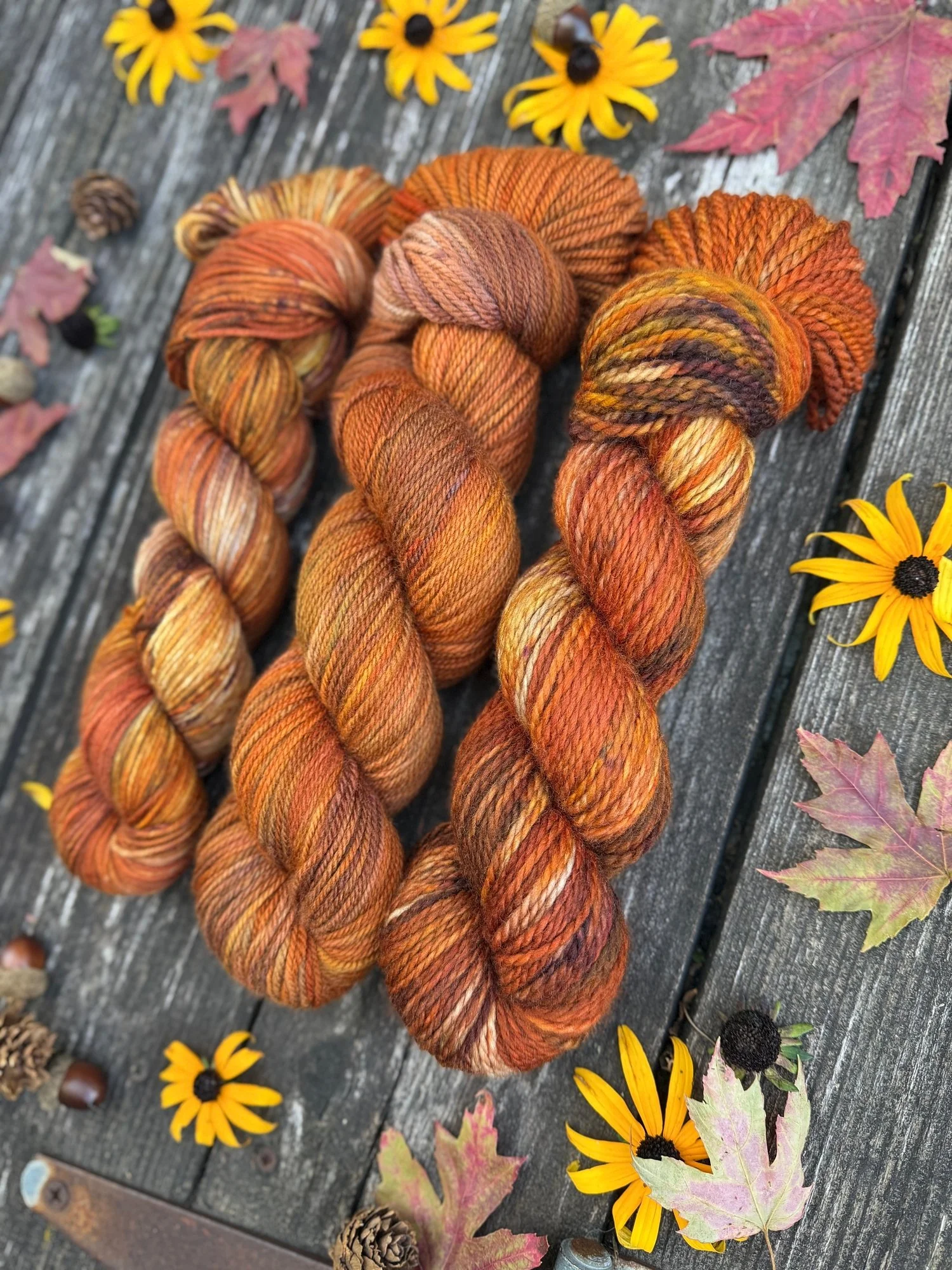 autumn halloween yarn scooby-doo knit pattern knitting101.jpg