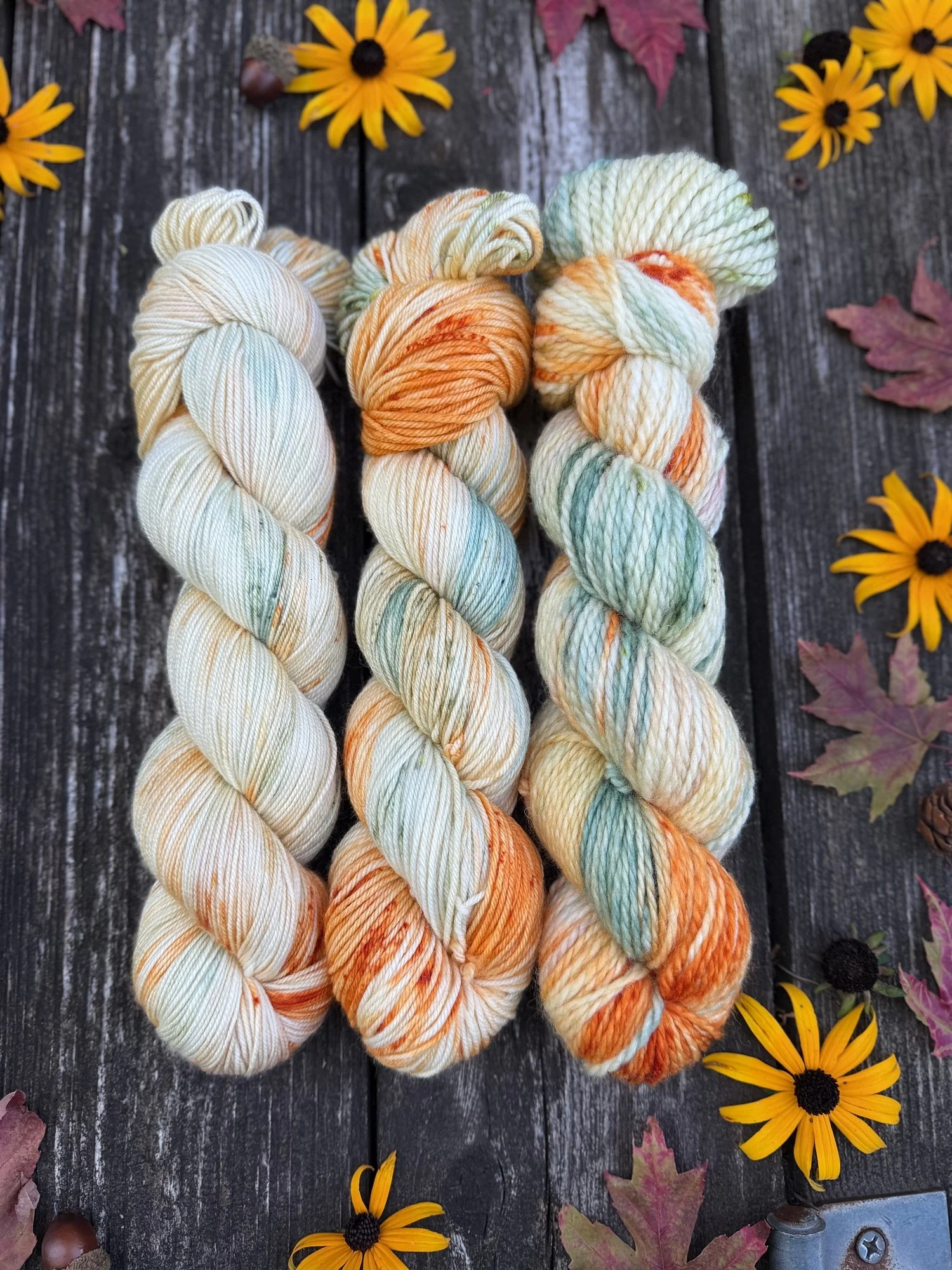 autumn halloween yarn scooby-doo knit pattern knitting231.jpg