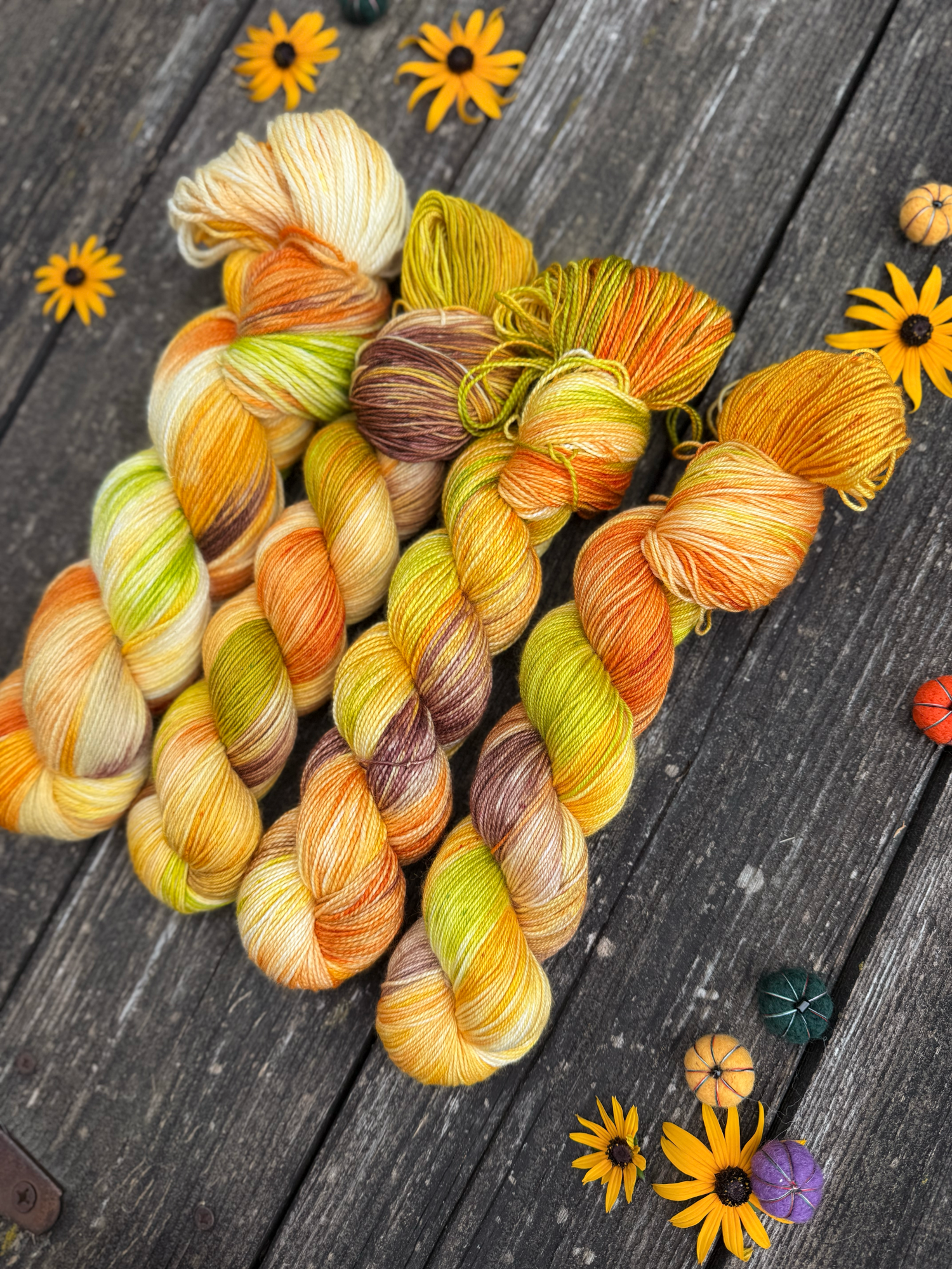 autumn fall cozy yarn hand dyed knitting august 2026107 sunflower stand.png