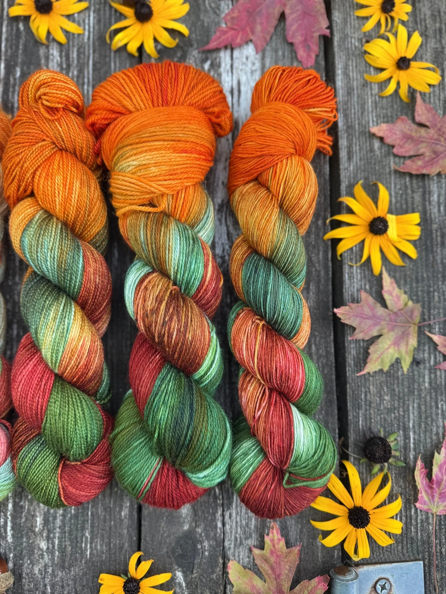 autumn halloween yarn scooby-doo knit pattern knitting181.jpg