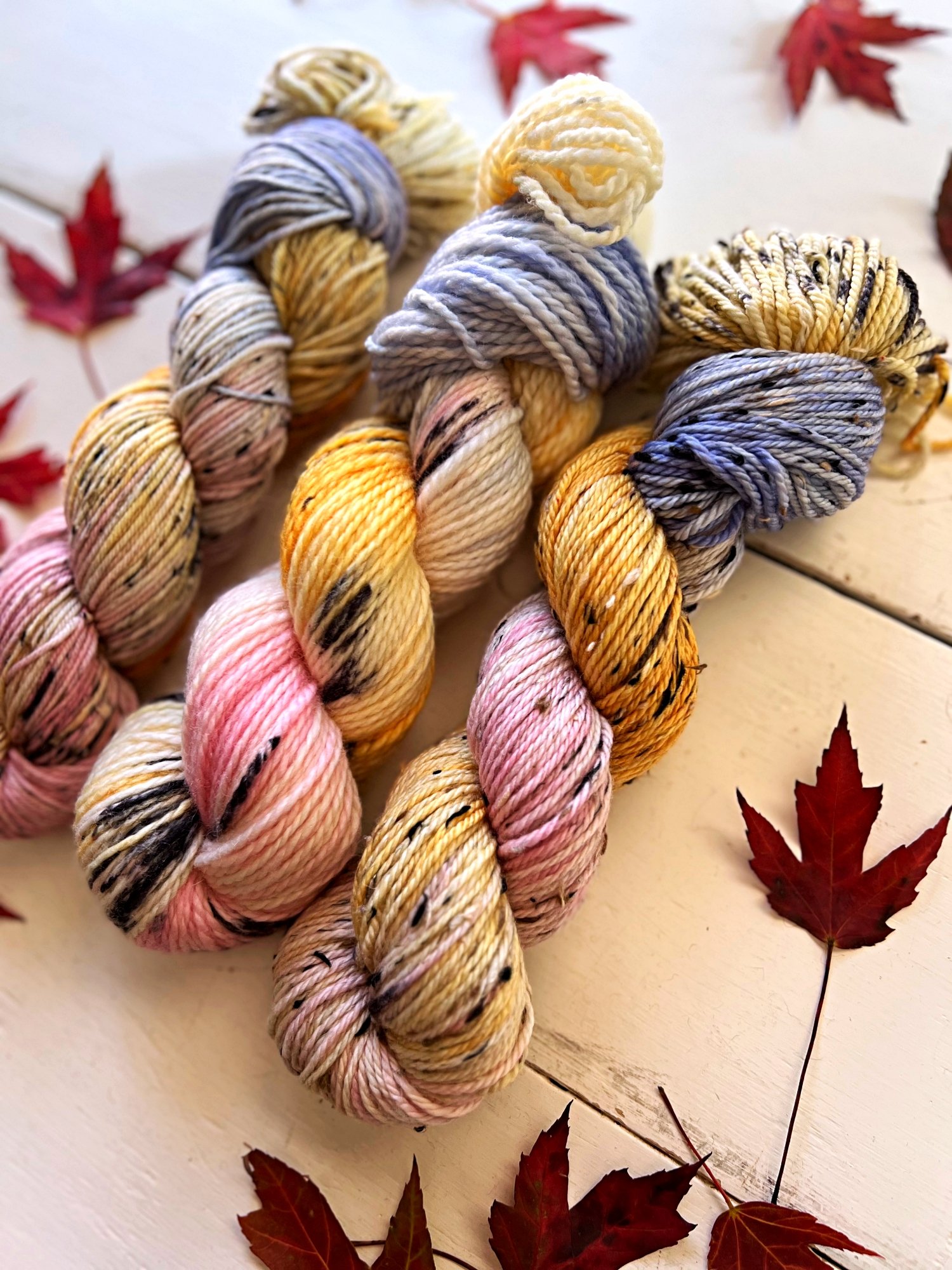 autumn fall halloween themed dyed yarn.109.2024.jpg