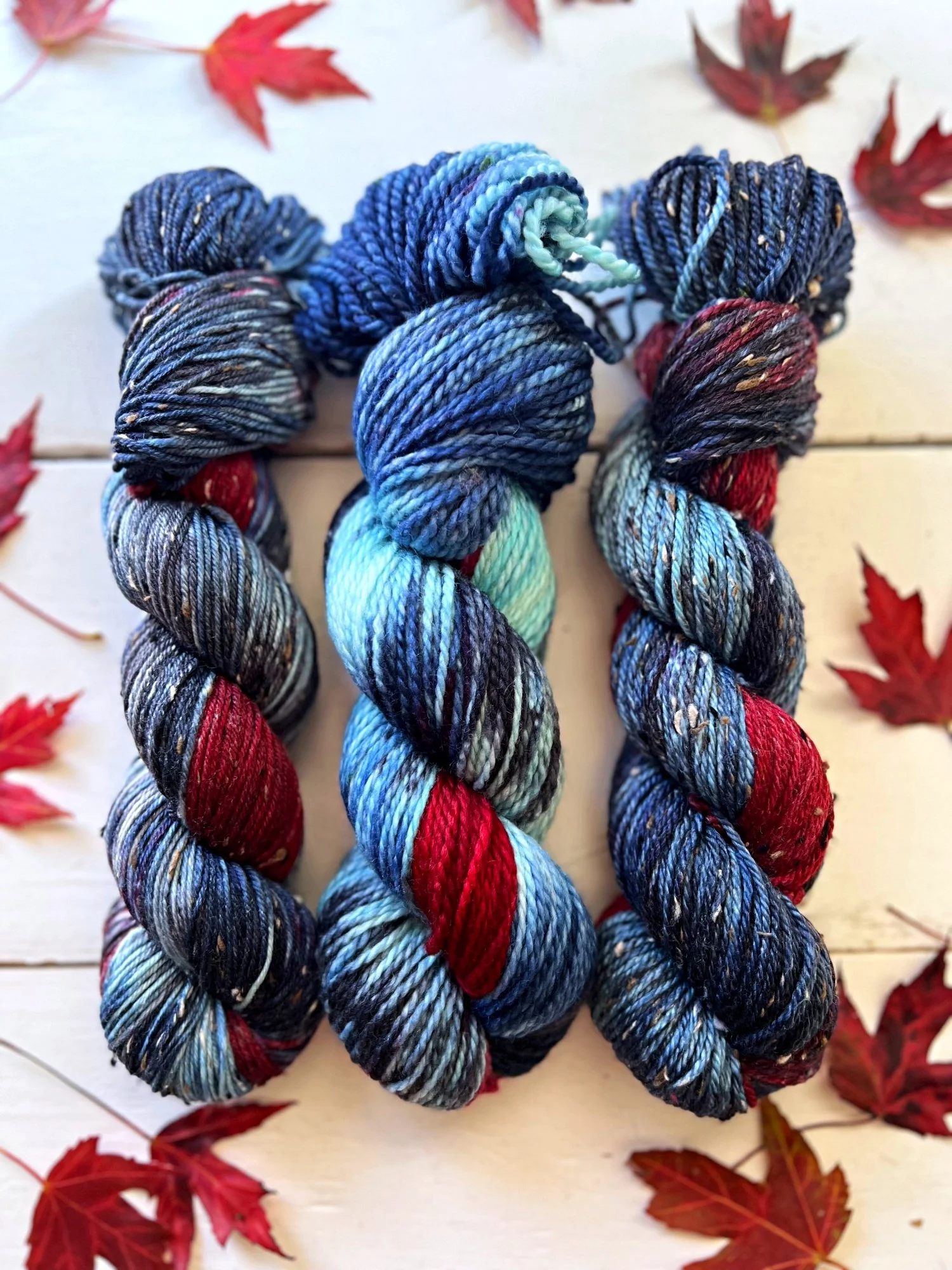 autumn fall halloween themed dyed yarn.129.2024.jpg