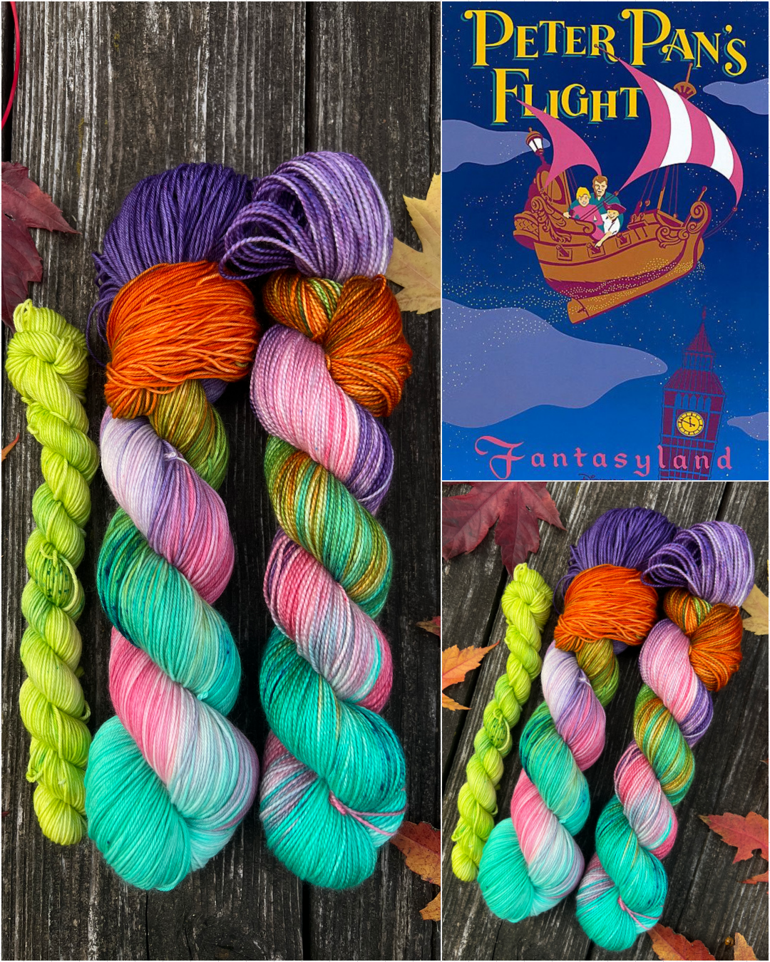 magic kingdom peter pan's flight.png