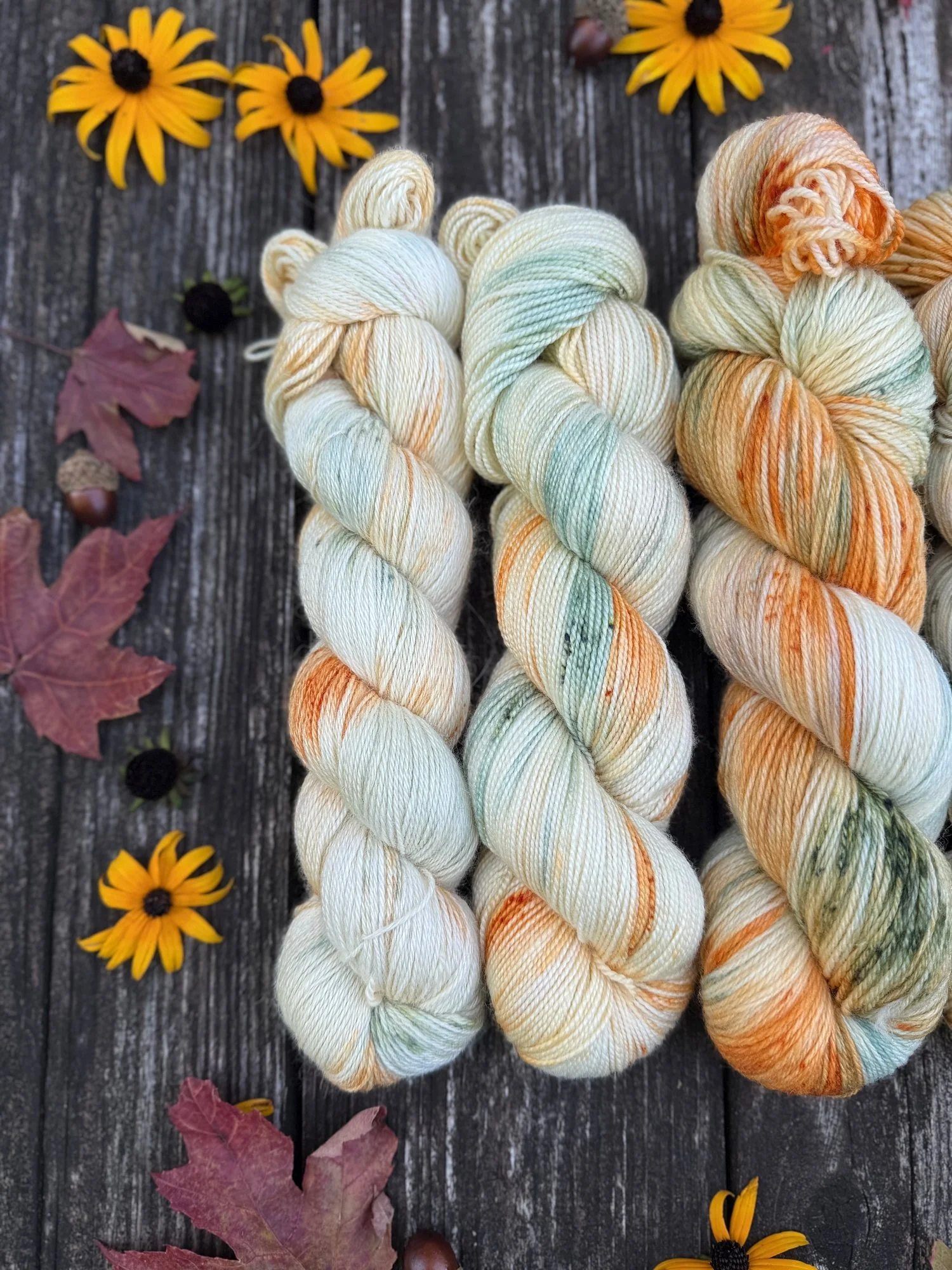 autumn halloween yarn scooby-doo knit pattern knitting235.jpg