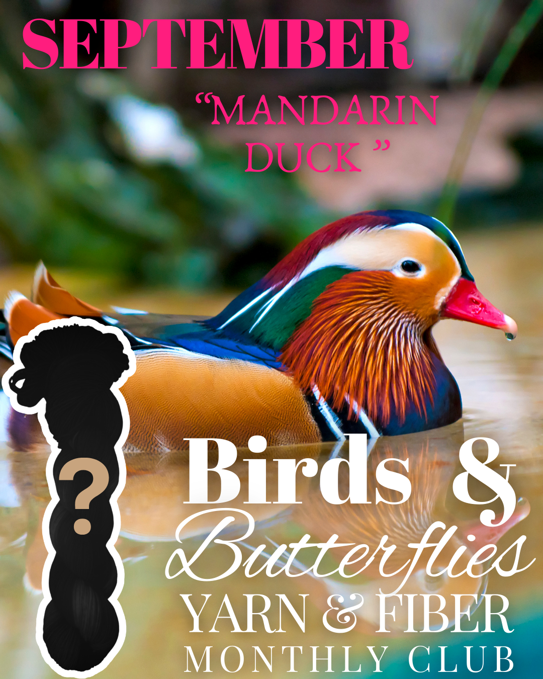 SEPTEMBER 2025 "Mandarin Duck" - Birds & Butterflies Inspired Yarn & Fiber Club