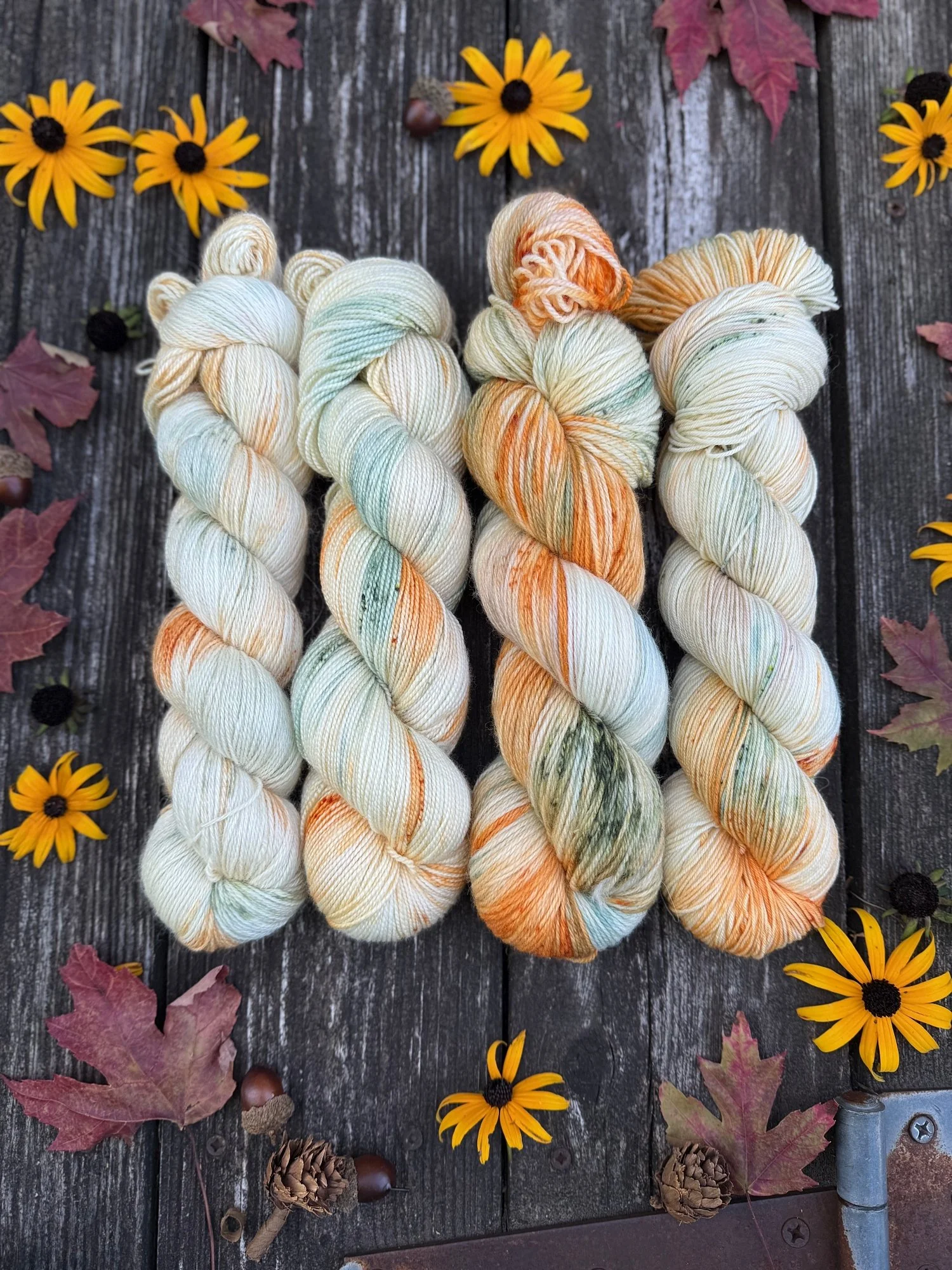 Country Pumpkin - Autumn Inspired Yarn Collection