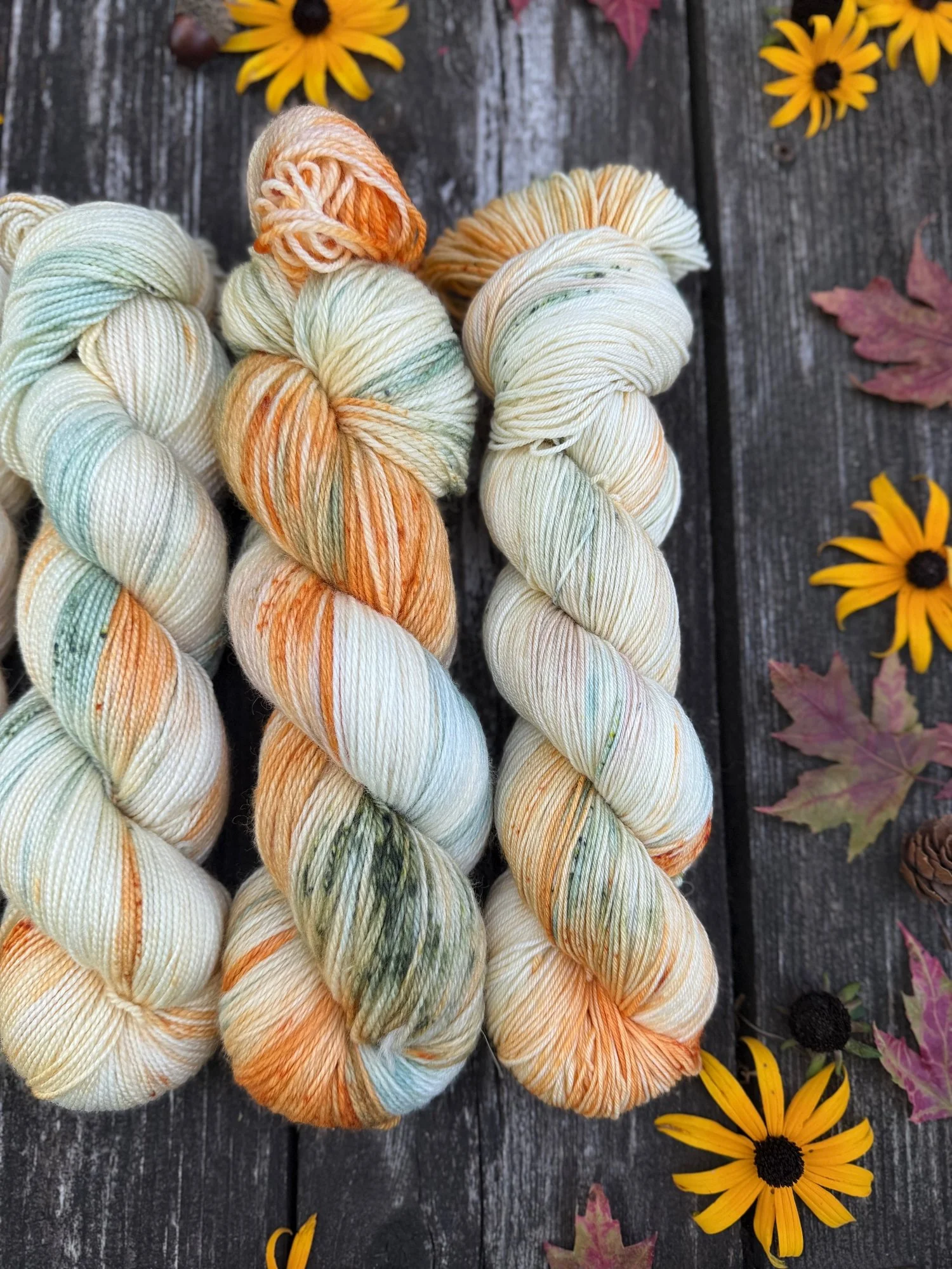 autumn halloween yarn scooby-doo knit pattern knitting234.jpg