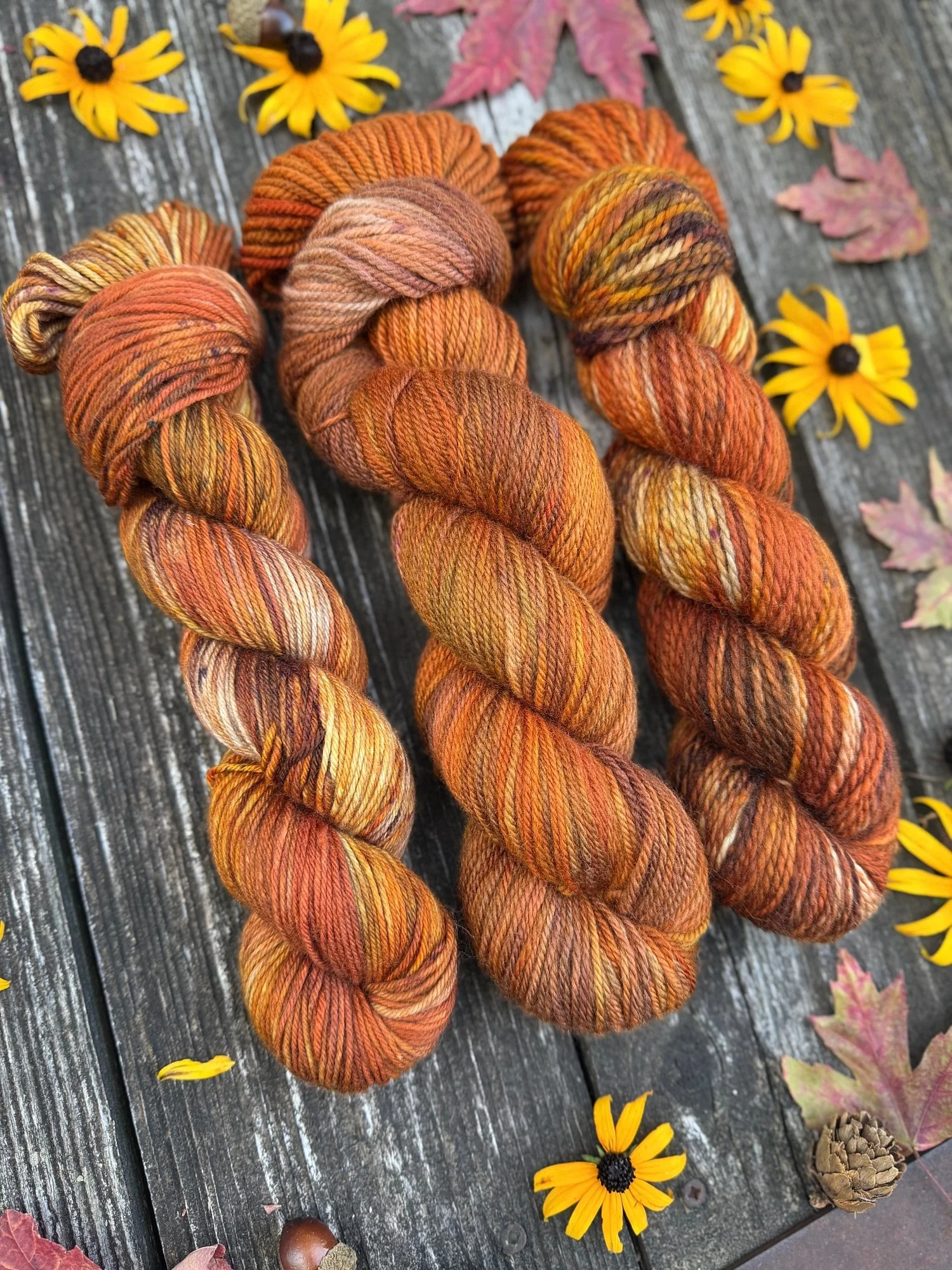 autumn halloween yarn scooby-doo knit pattern knitting100.jpg