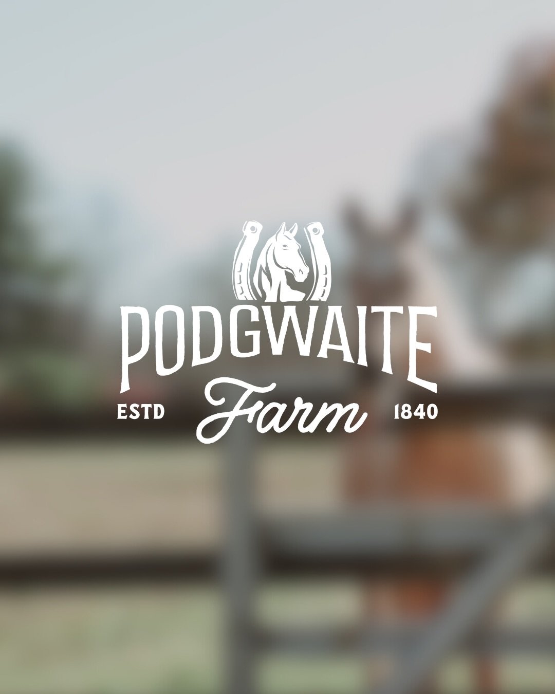 New identity work for Podgwaite Farm: A private horse property with a long history and a deep connection to the land

This project began as a passion piece, creating a visual system that feels rooted in tradition while still feeling fresh. The goal w