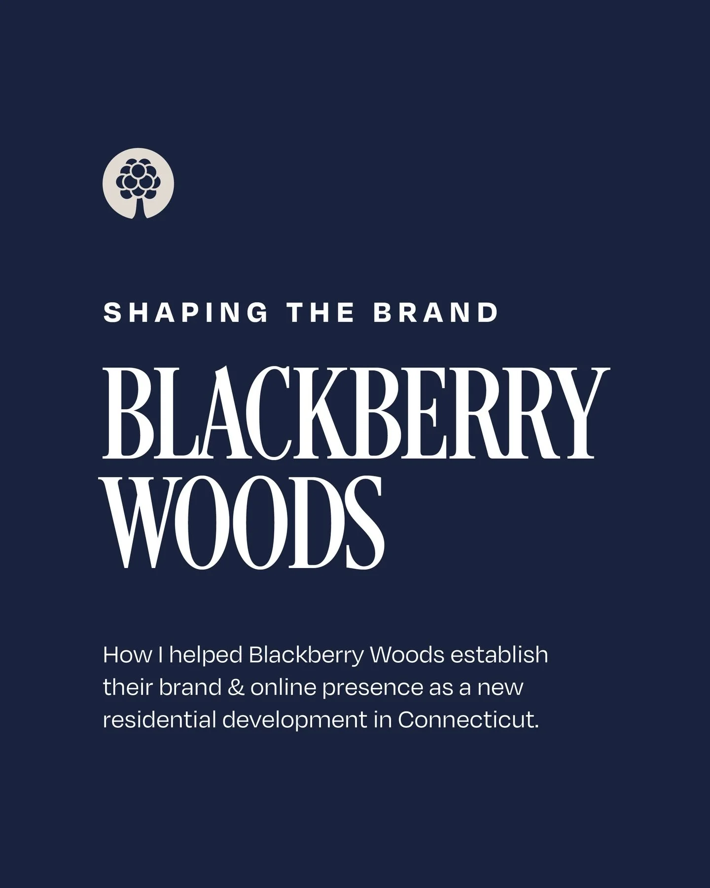 When working with a brand-new development, the goal isn&rsquo;t just to make things look good. It&rsquo;s about creating clarity, credibility, and a strong foundation from day one.

For Blackberry Woods, I helped build a complete brand system and web