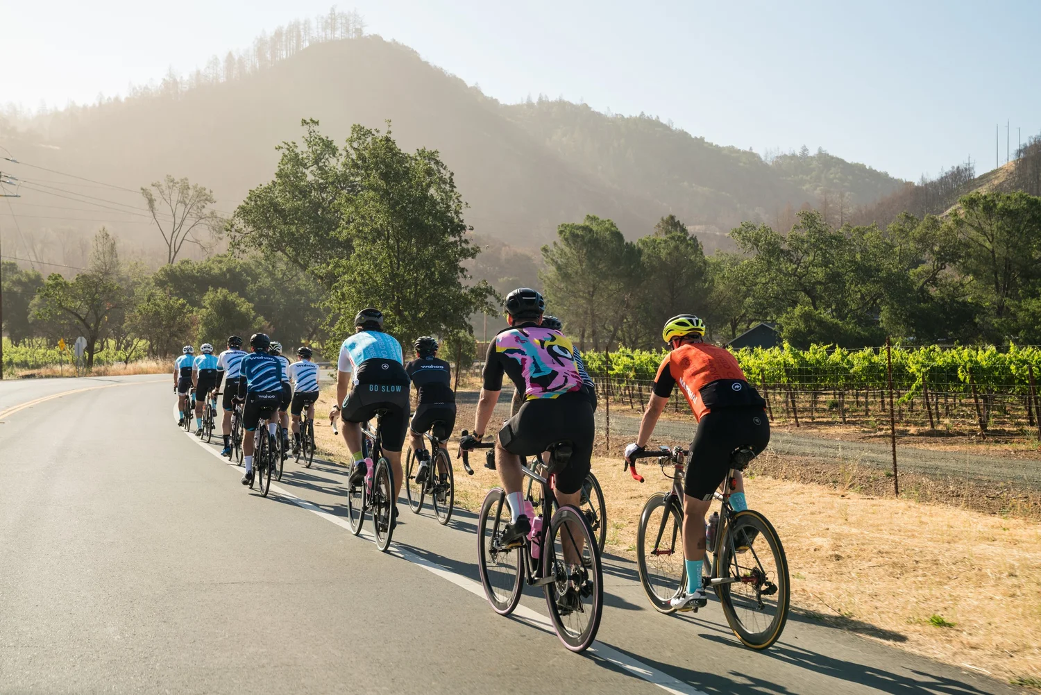 RIDE NAPA VALLEY