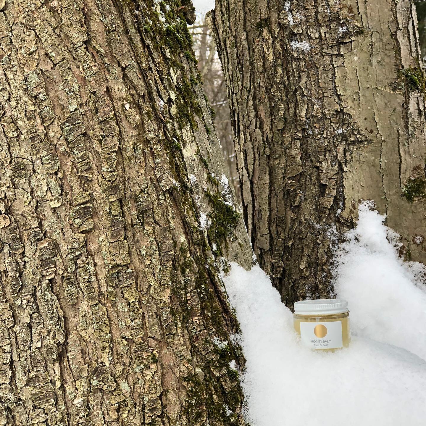 our balm contains ingredients so natural they could be found in the woods:
pure beeswax, organic fair trade cocoa butter, organic avocado oil