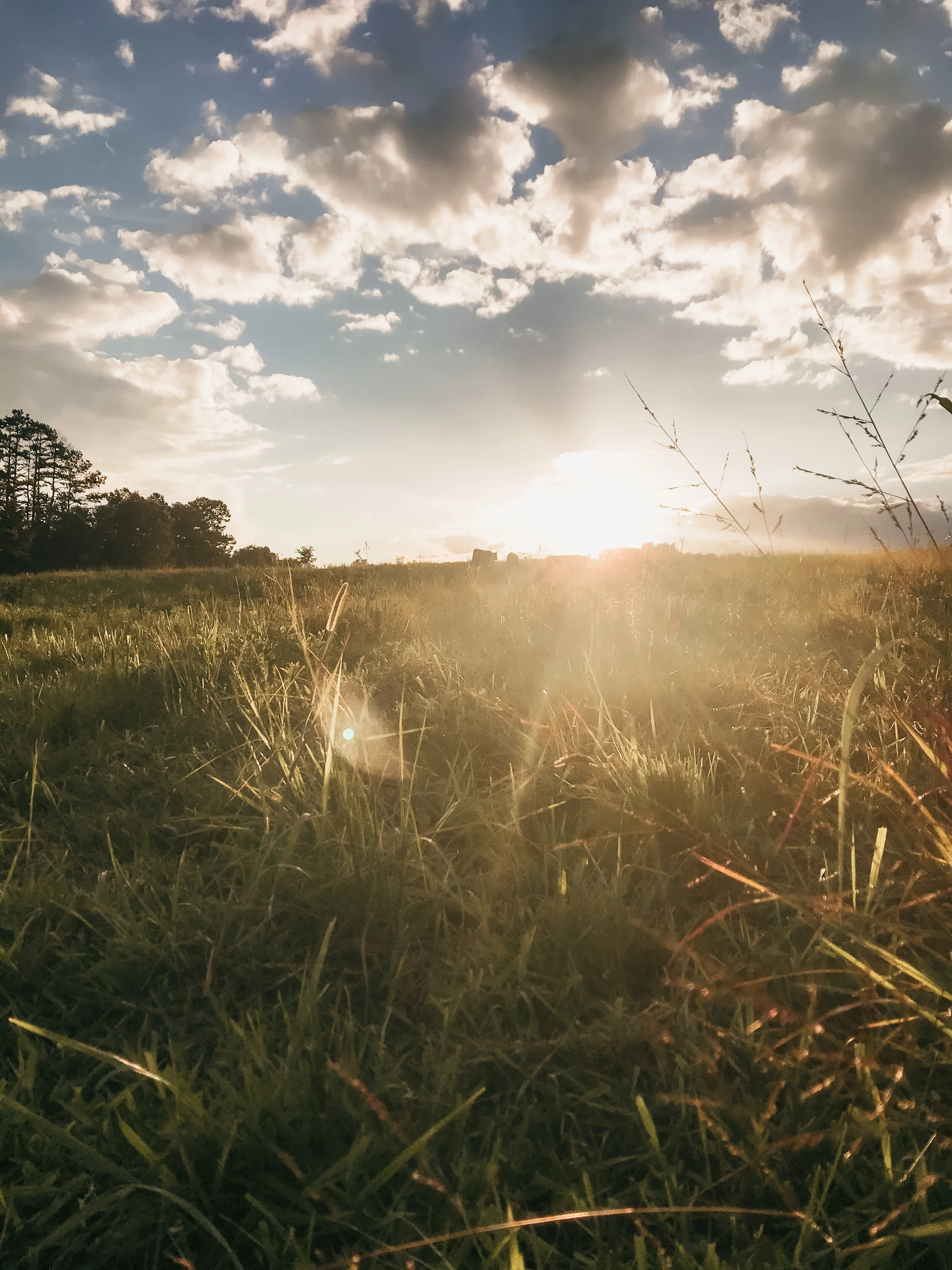 Rock House Farms, LLC.