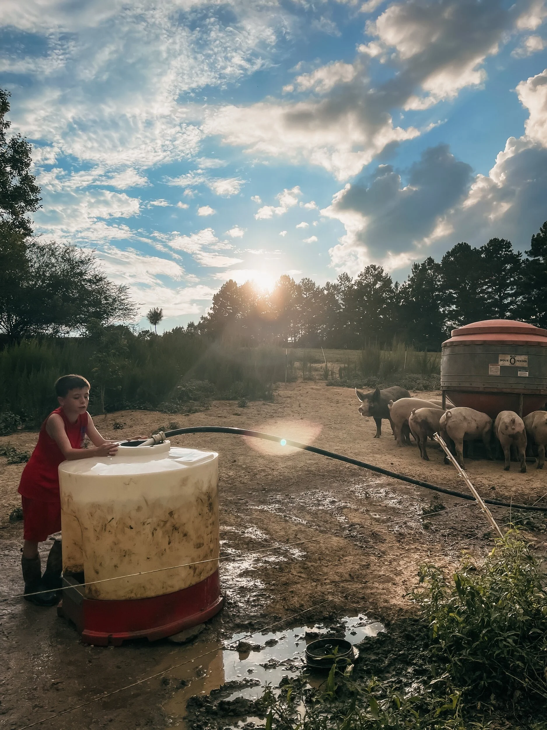 Photos from our Farm — Rock House Farms, LLC.