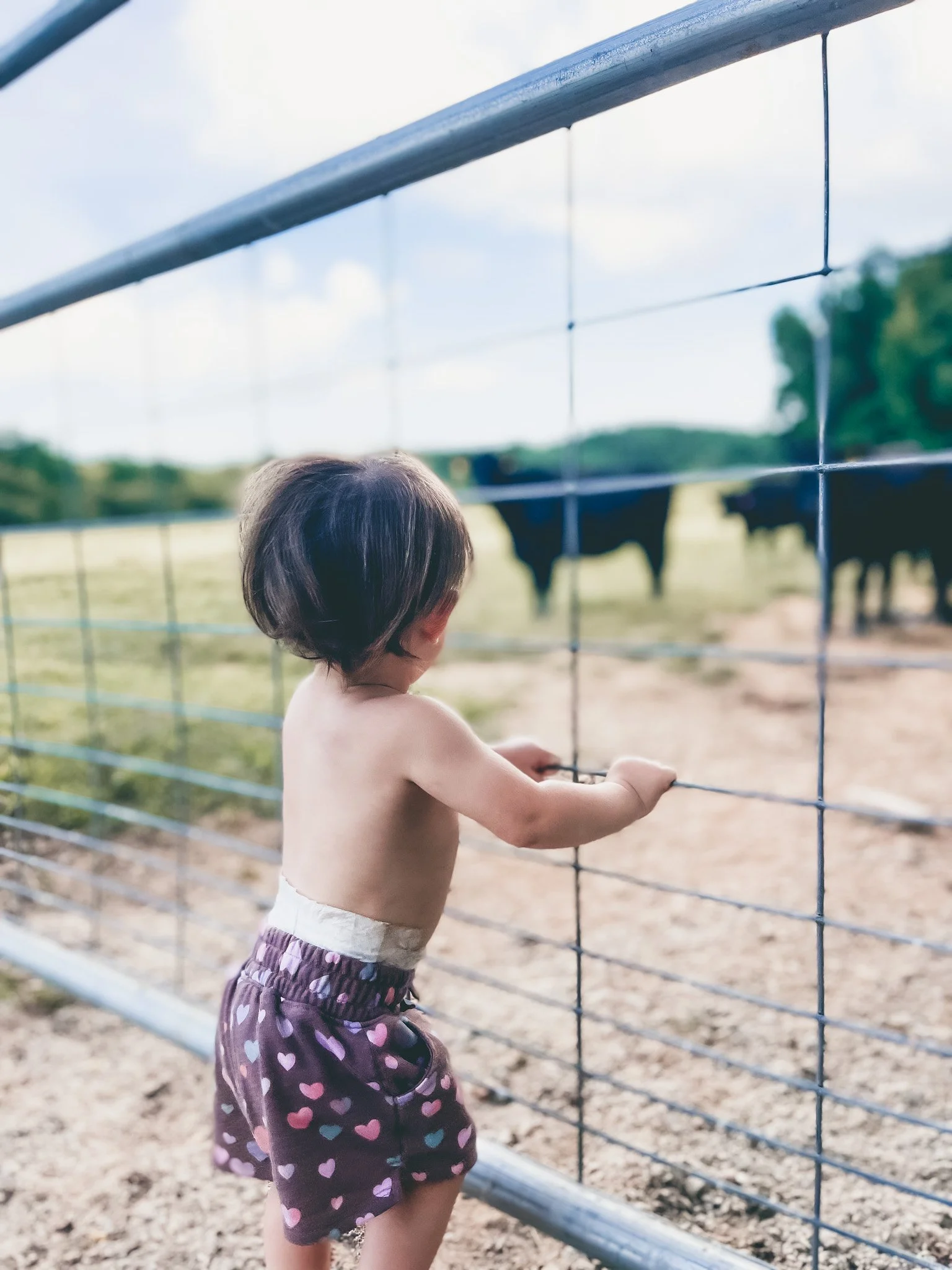 Rock House Farms, LLC.