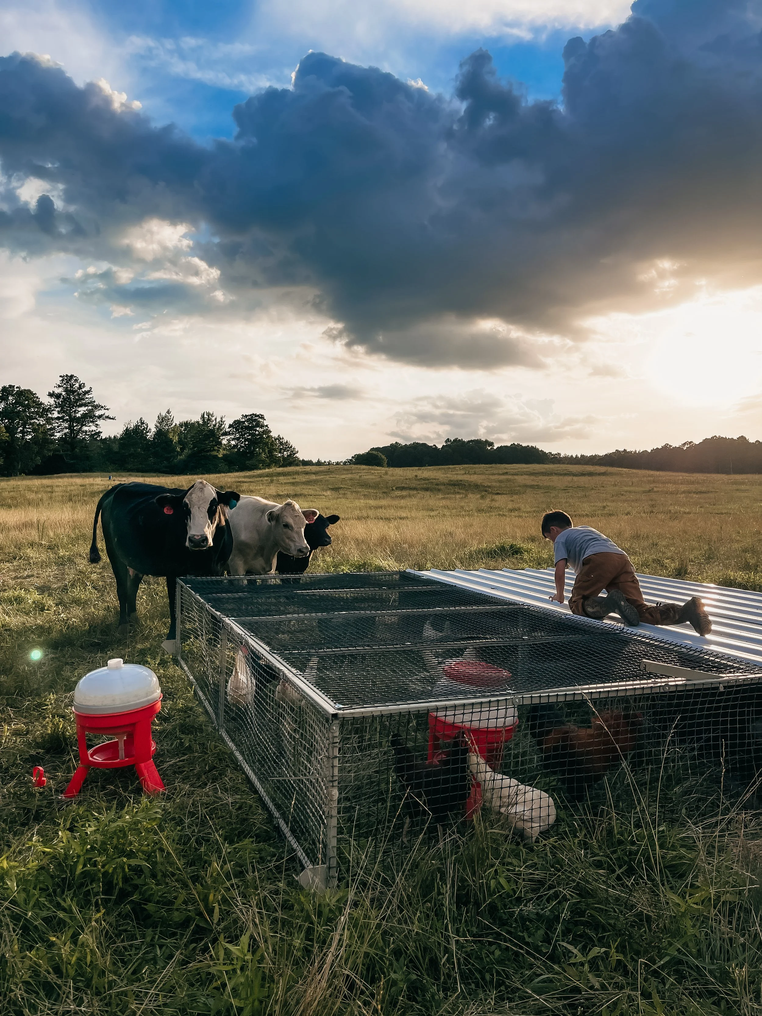 Rock House Farms, LLC.