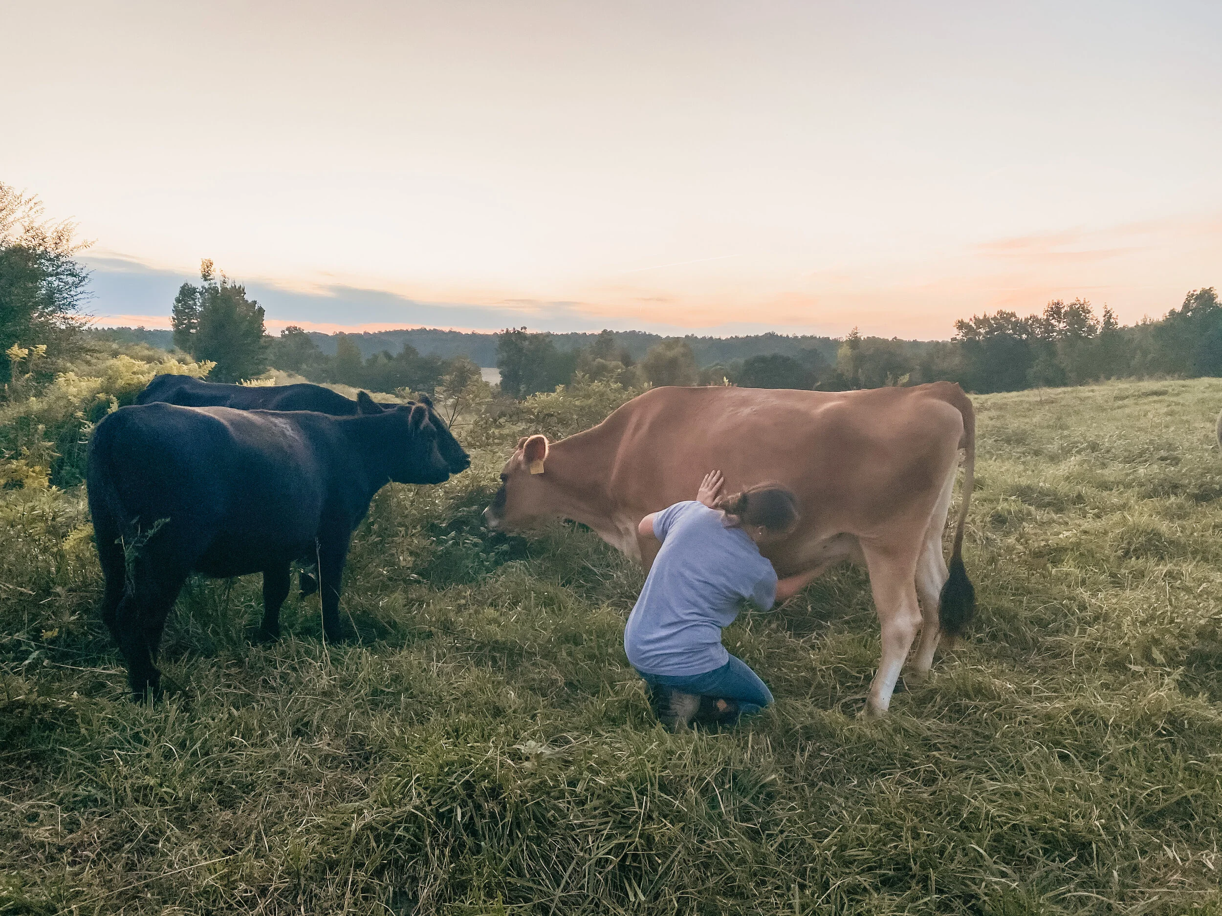 Photos from our Farm — Rock House Farms, LLC.