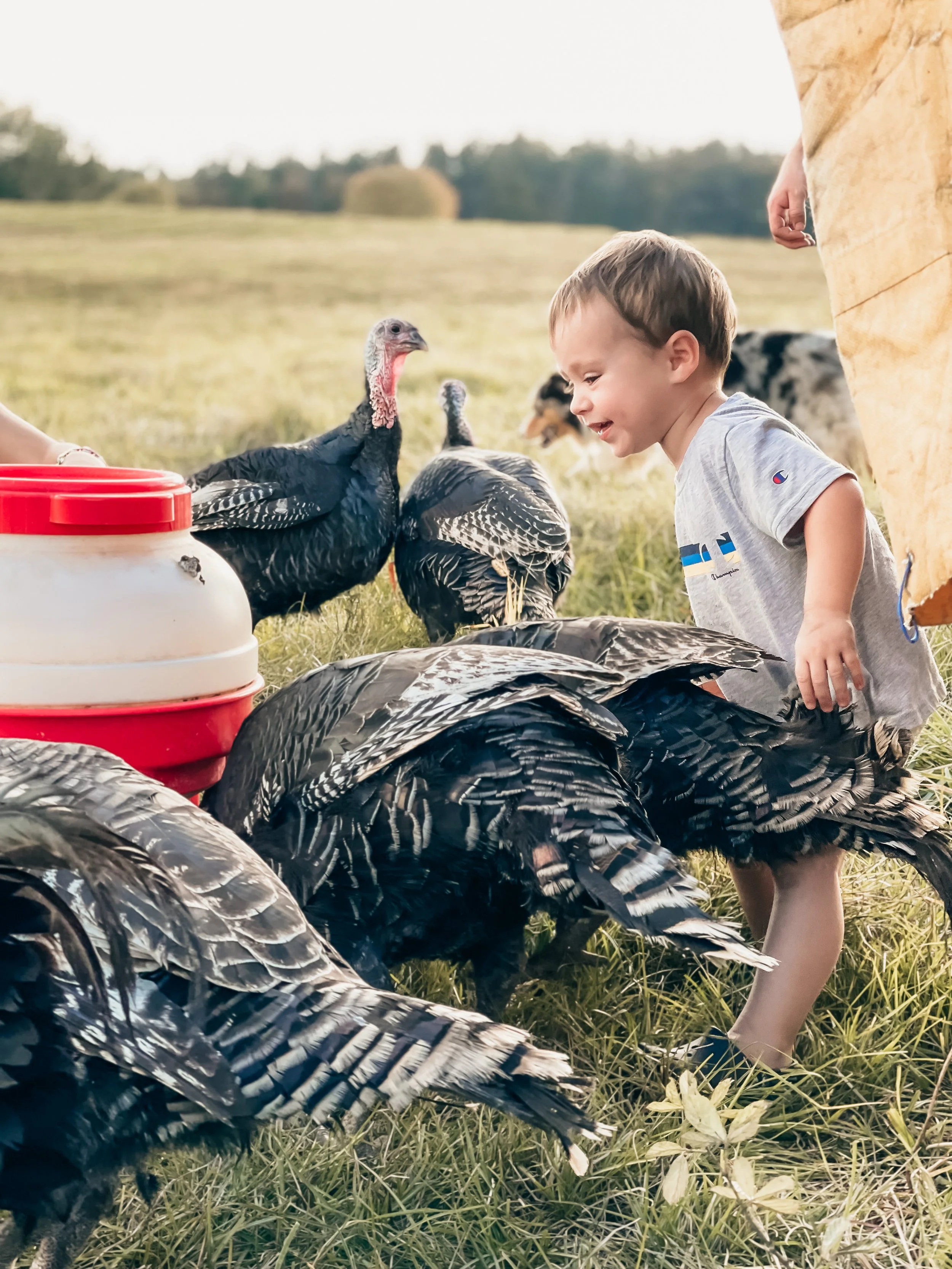 Rock House Farms, LLC.