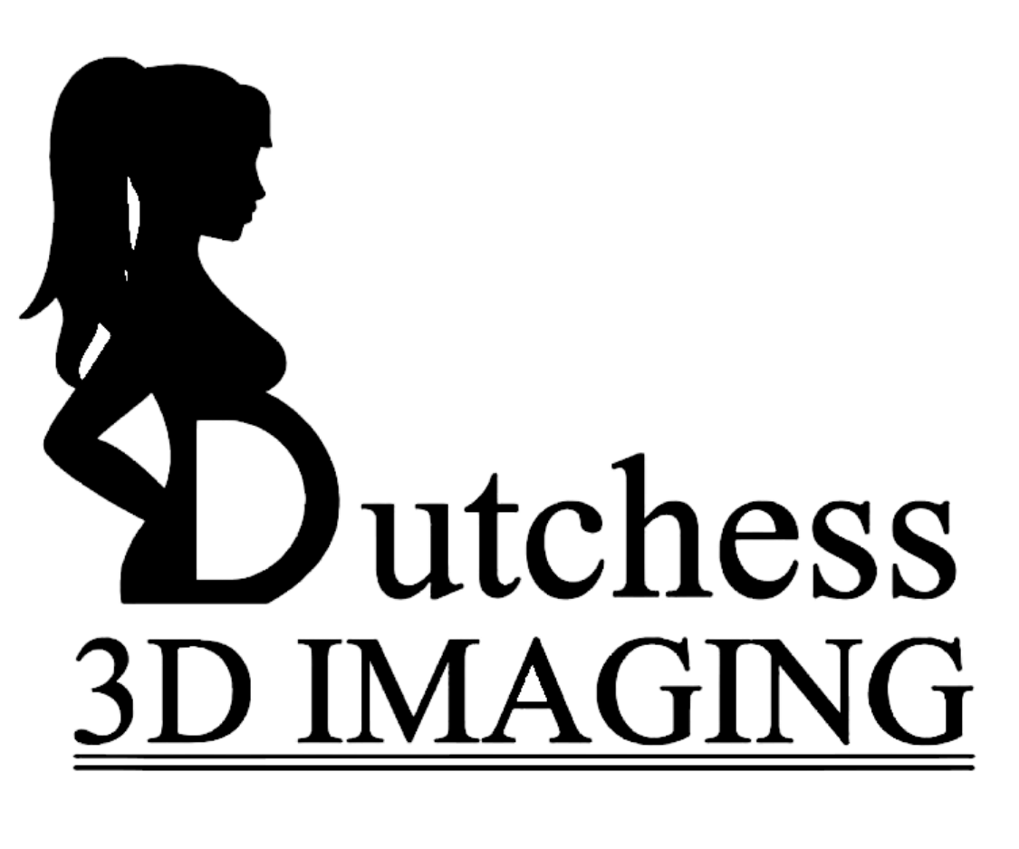 Dutchess 3D Imaging