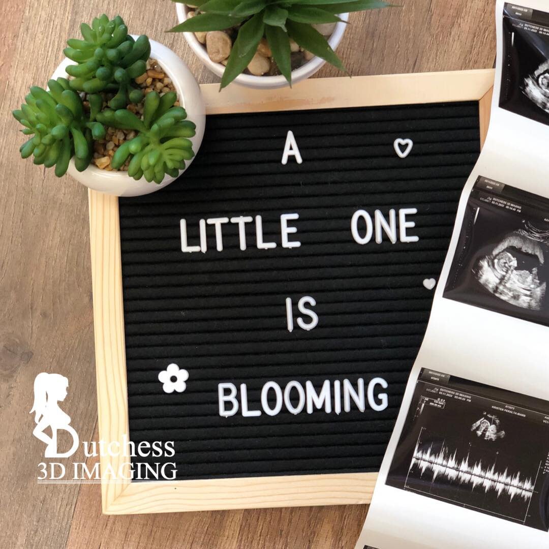 Come in anytime and check on baby 🤰🏻

Wellness Check
10 minutes @ $75.00
6-40 weeks
2D only 
Hear/ See baby's heartbeat
4 B/W prints on Thermal paper
Due Date Confirmation included 
( for 18weeks or less)
Placenta location (&gt;14weeks)

* check on