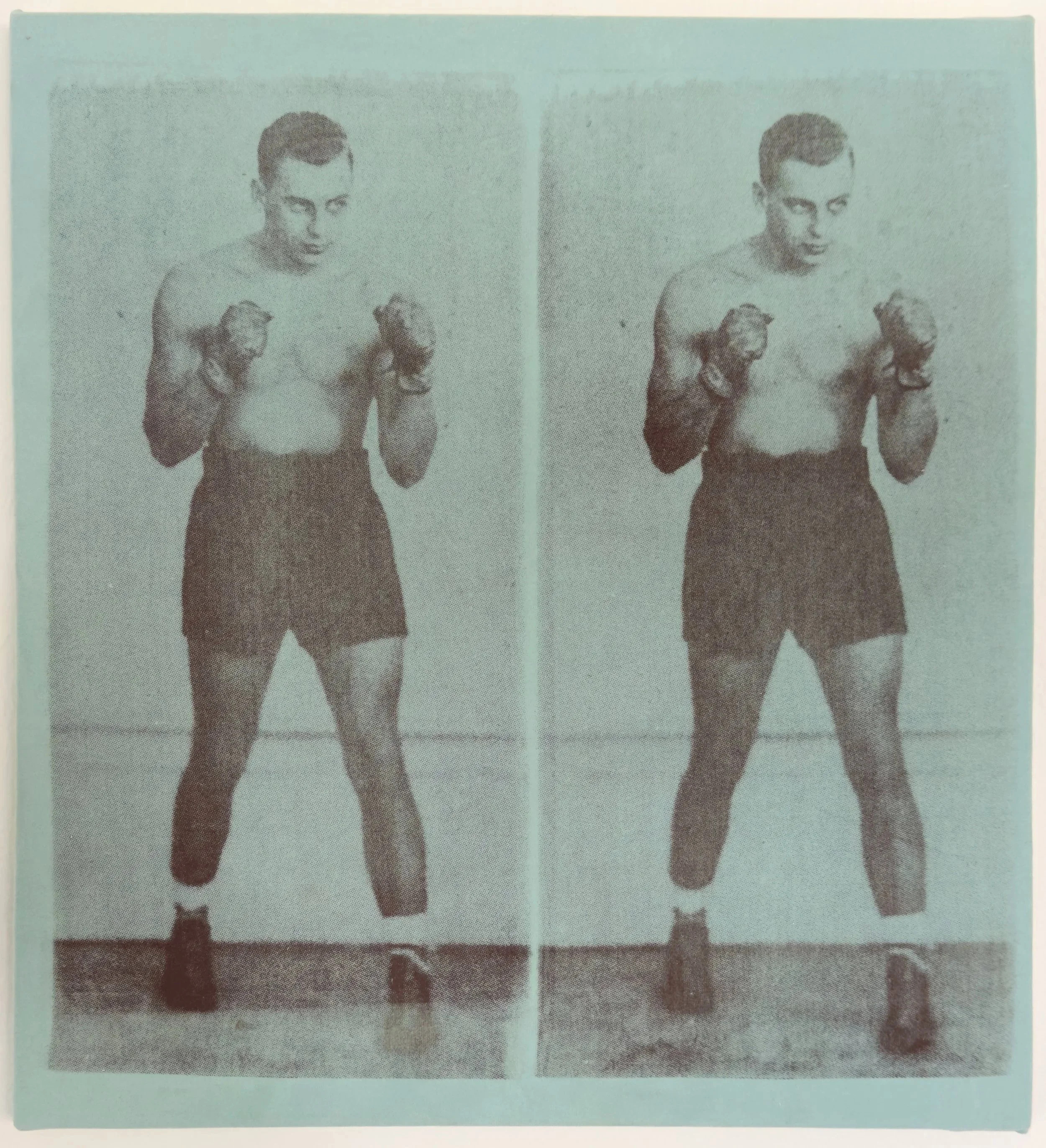 THE BOXER