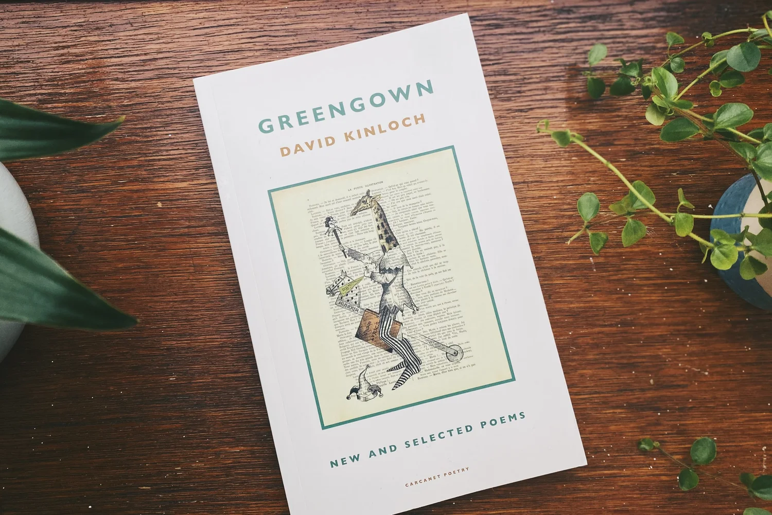 David Kinloch, Writer