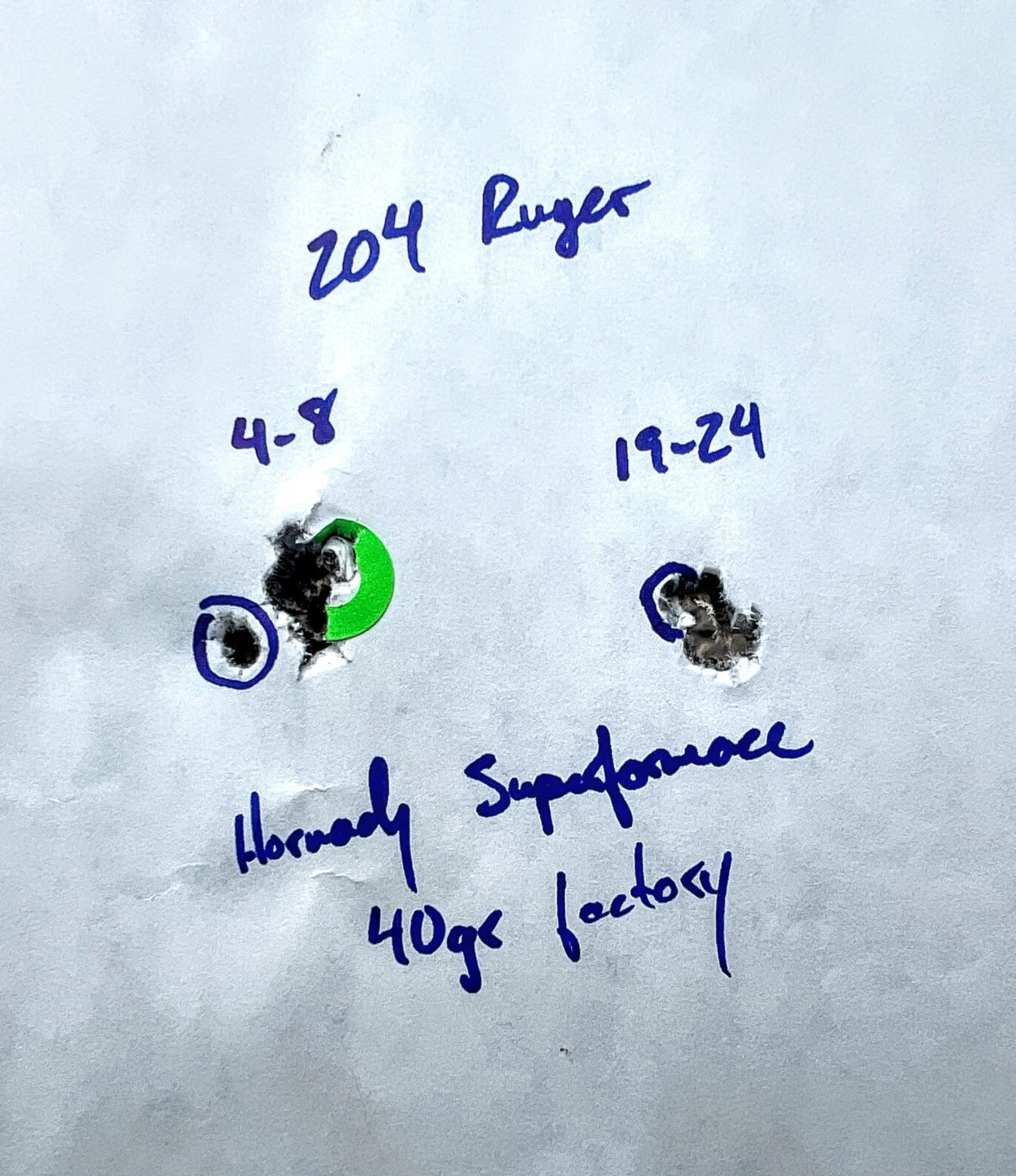 Howa Mini with Krieger Barrel