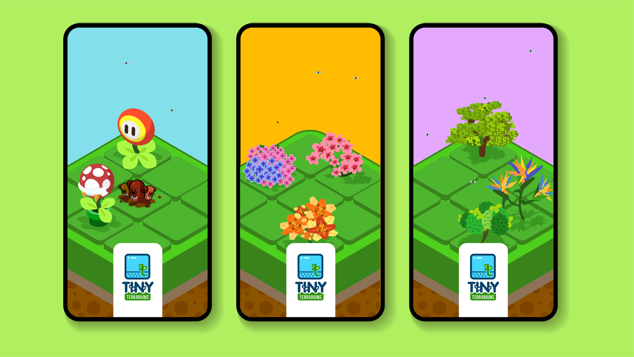 2023-0046 - Tiny Terrarium-site-02_08-00.png