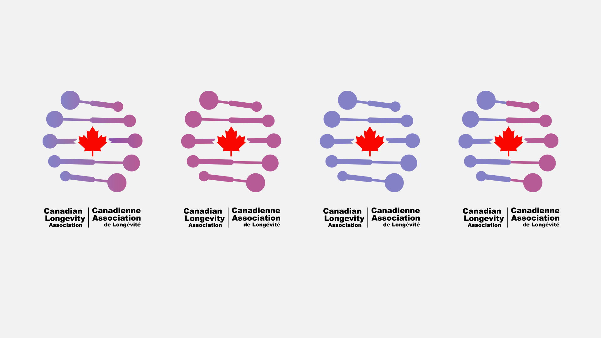 2023-0006-CLA-site-03-02-COLOR-09.png