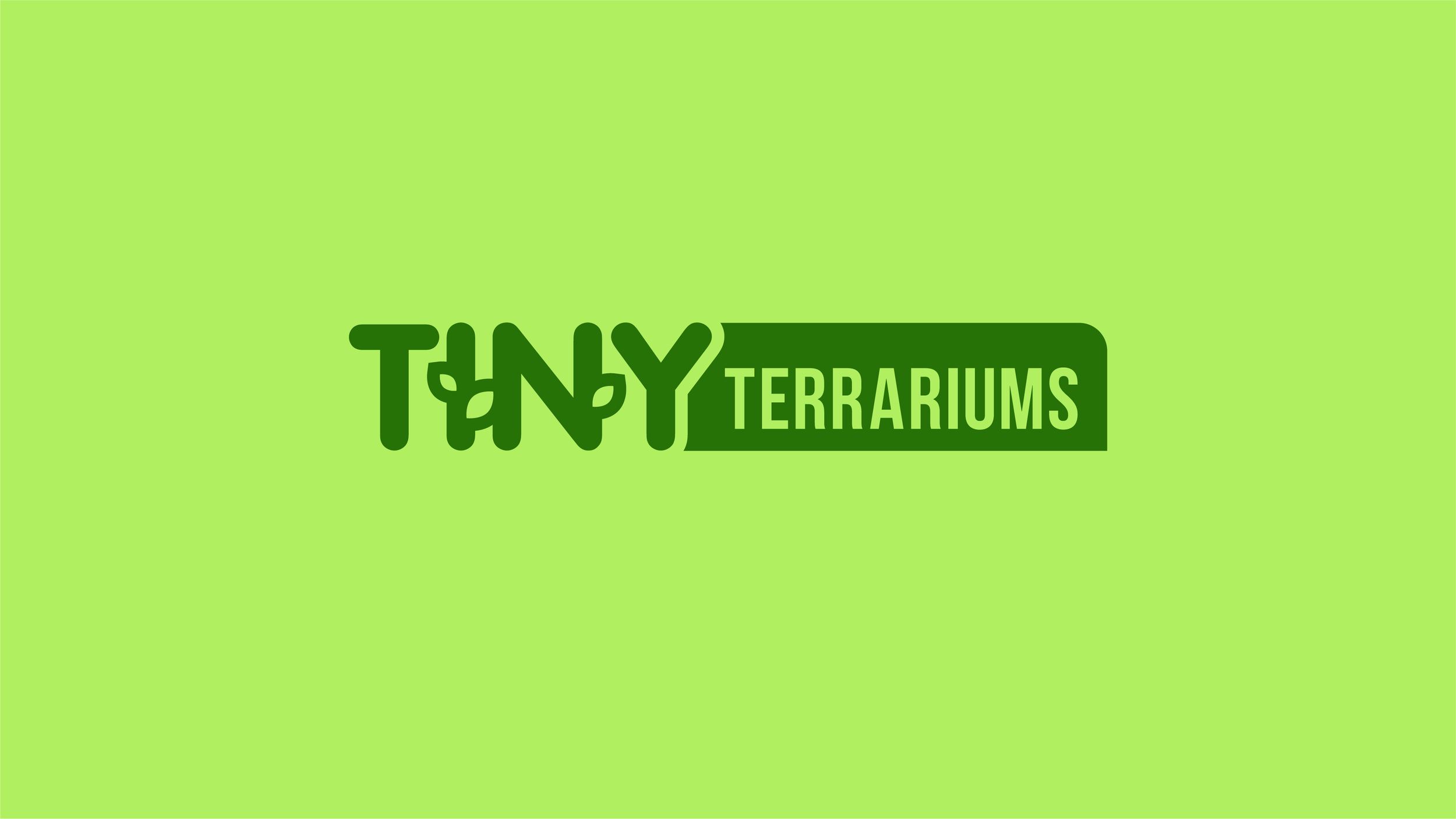 2023-0046 - Tiny Terrarium-site-01_06-00.png
